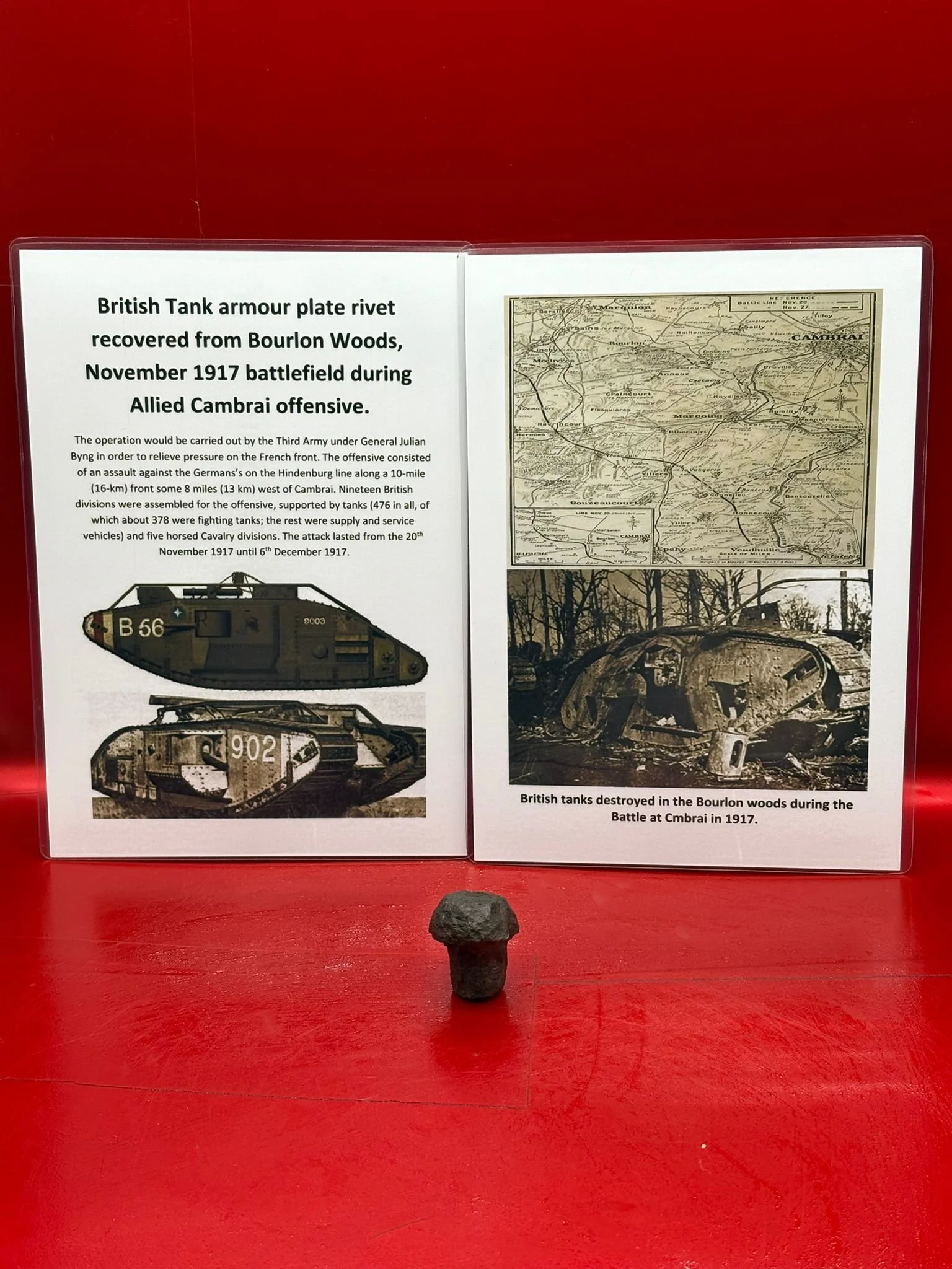 WhatsApp Image 2025-11-12 at 13.12.09.jpeg