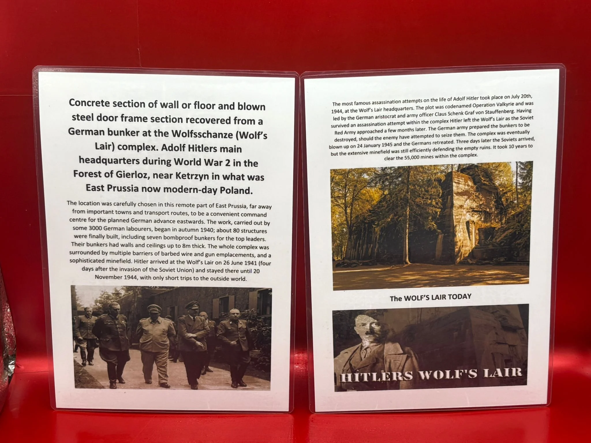 WhatsApp Image 2025-11-20 at 18.50.12 (1).jpeg