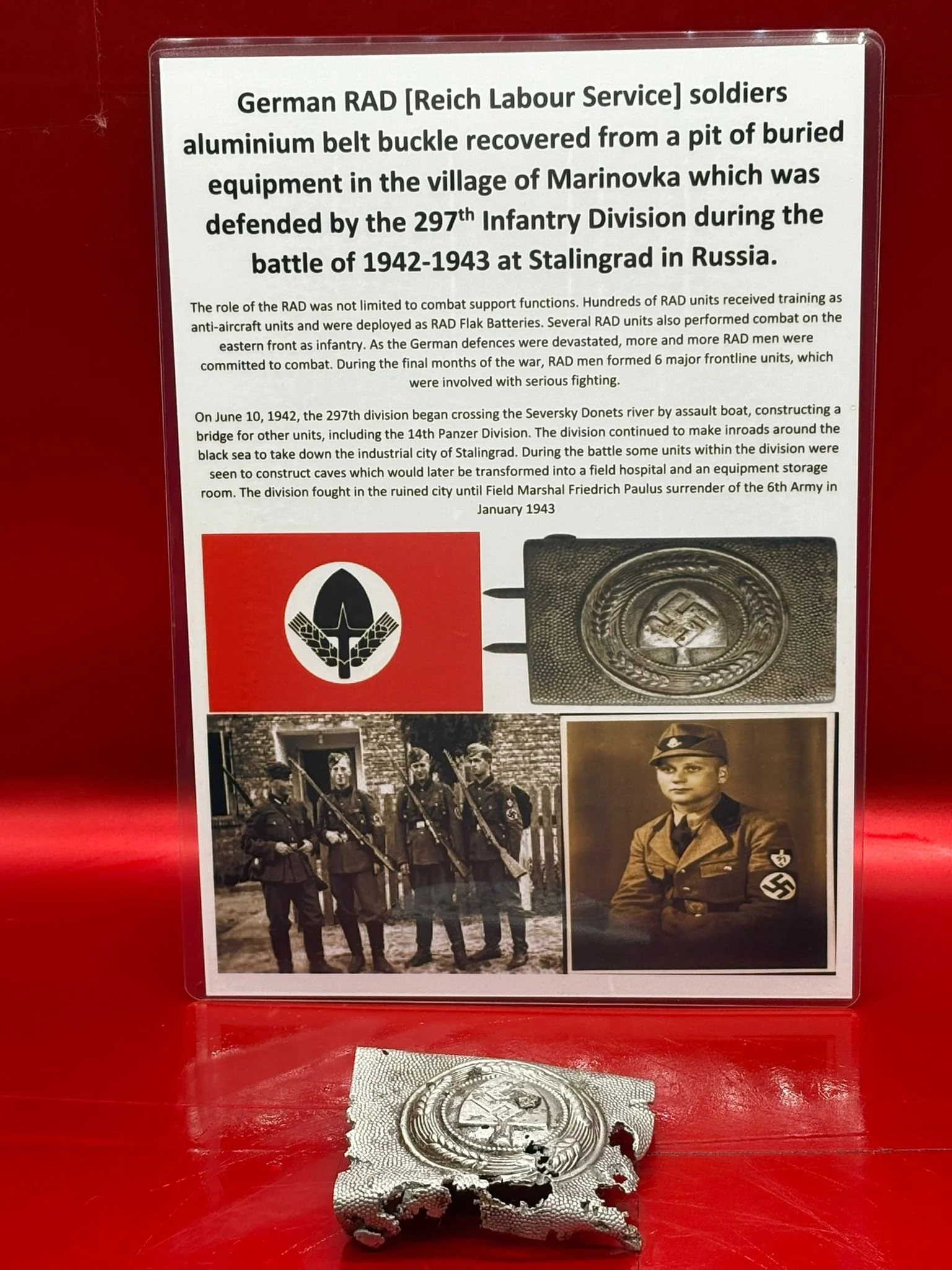 WhatsApp Image 2025-11-24 at 12.48.32.jpeg