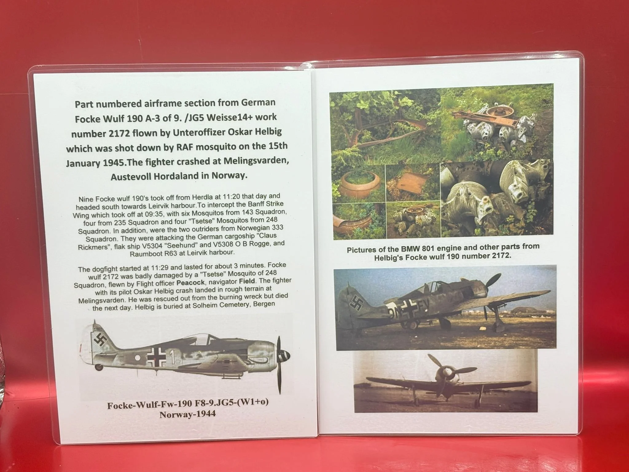 WhatsApp Image 2025-12-08 at 16.46.39 (6).jpeg