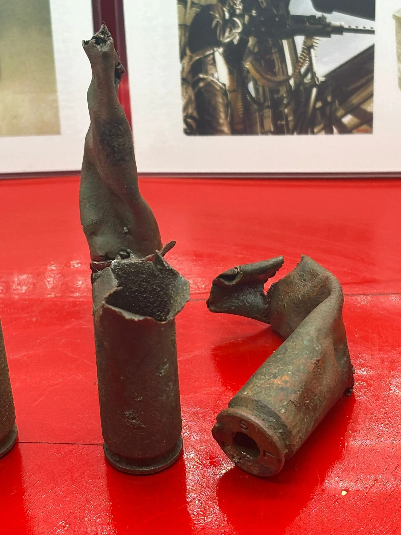 WhatsApp Image 2025-12-09 at 14.04.48.jpeg