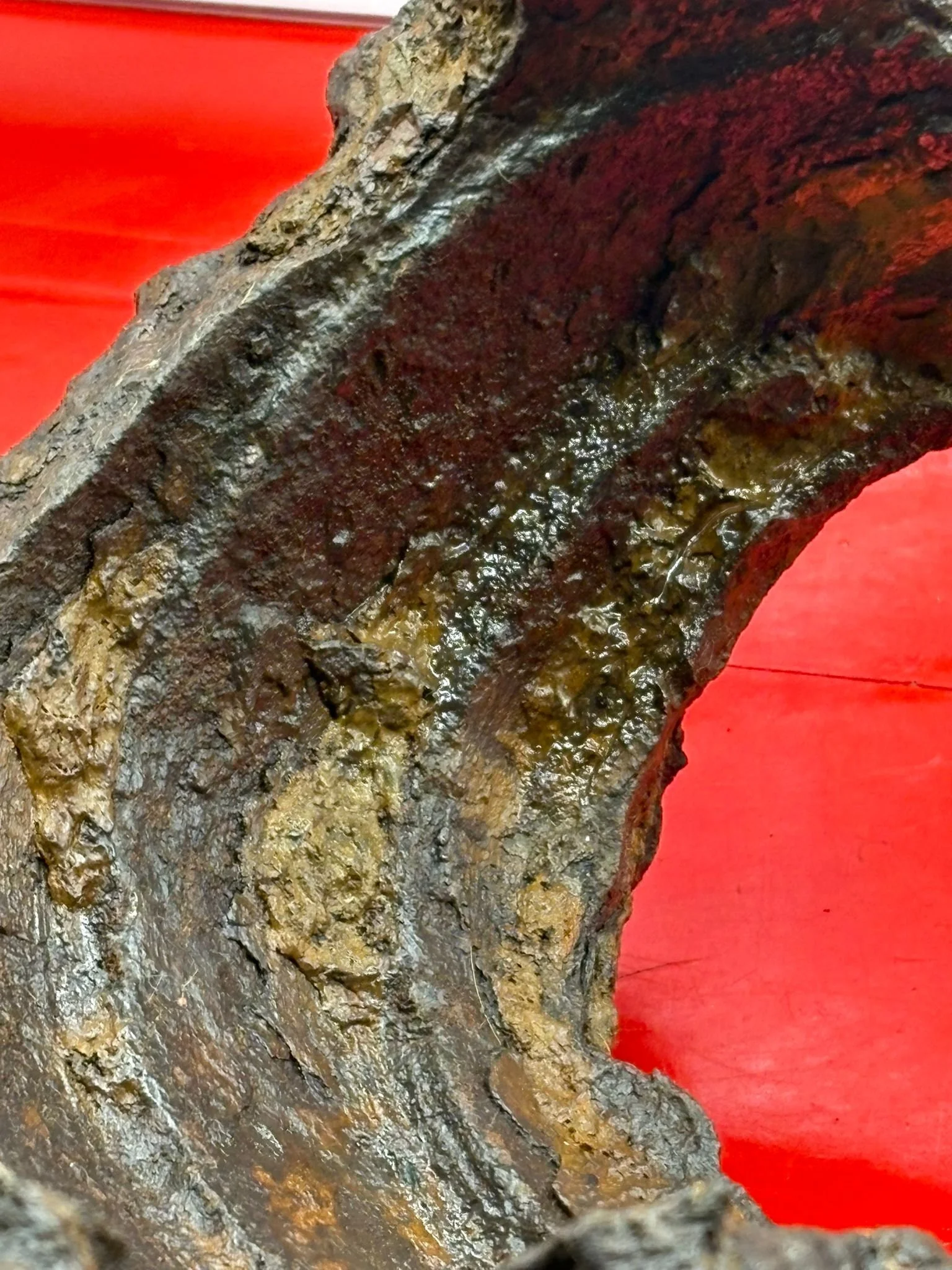 WhatsApp Image 2025-11-24 at 16.53.19 (1).jpeg