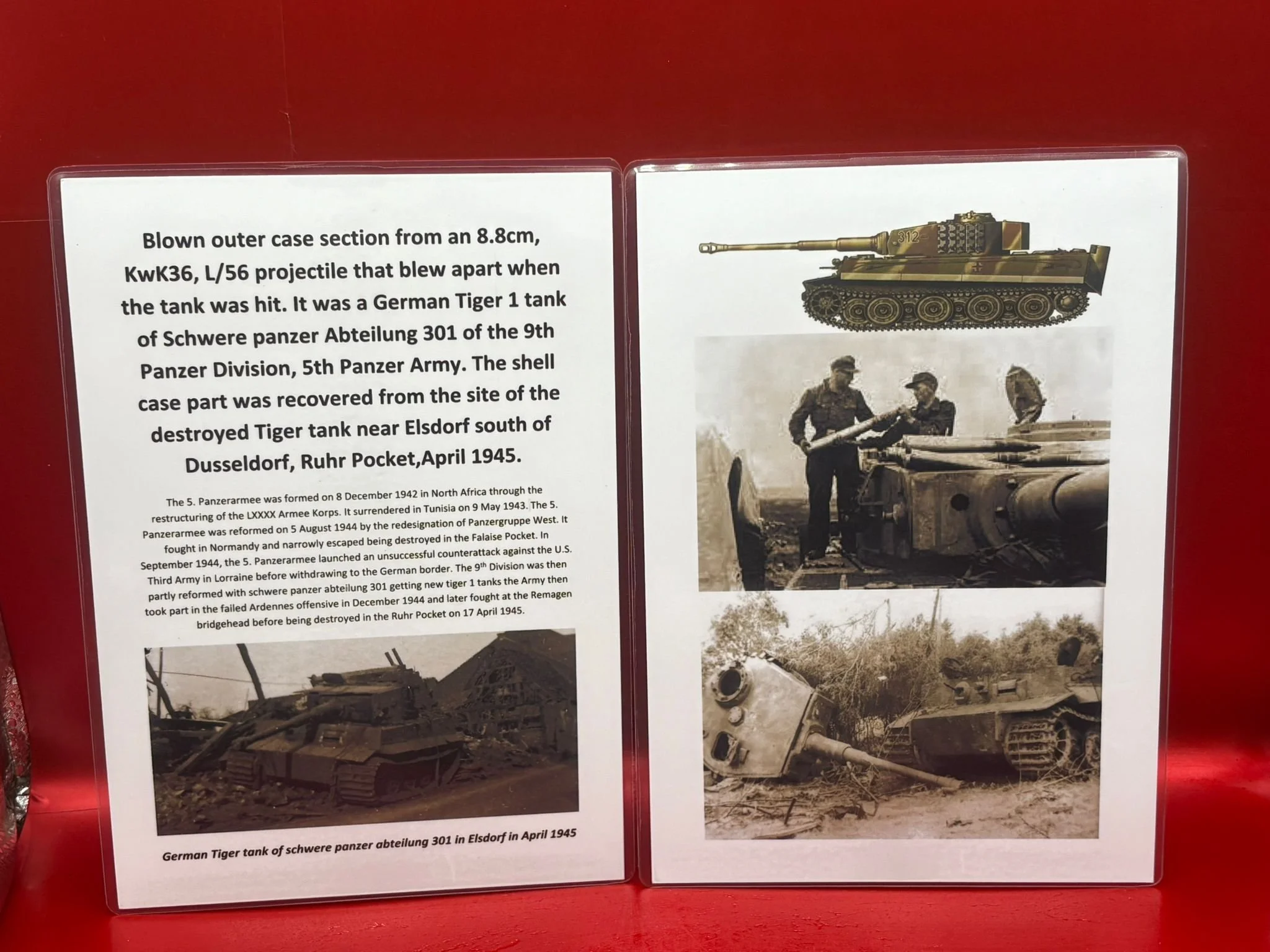 WhatsApp Image 2025-11-18 at 15.10.49 (3).jpeg