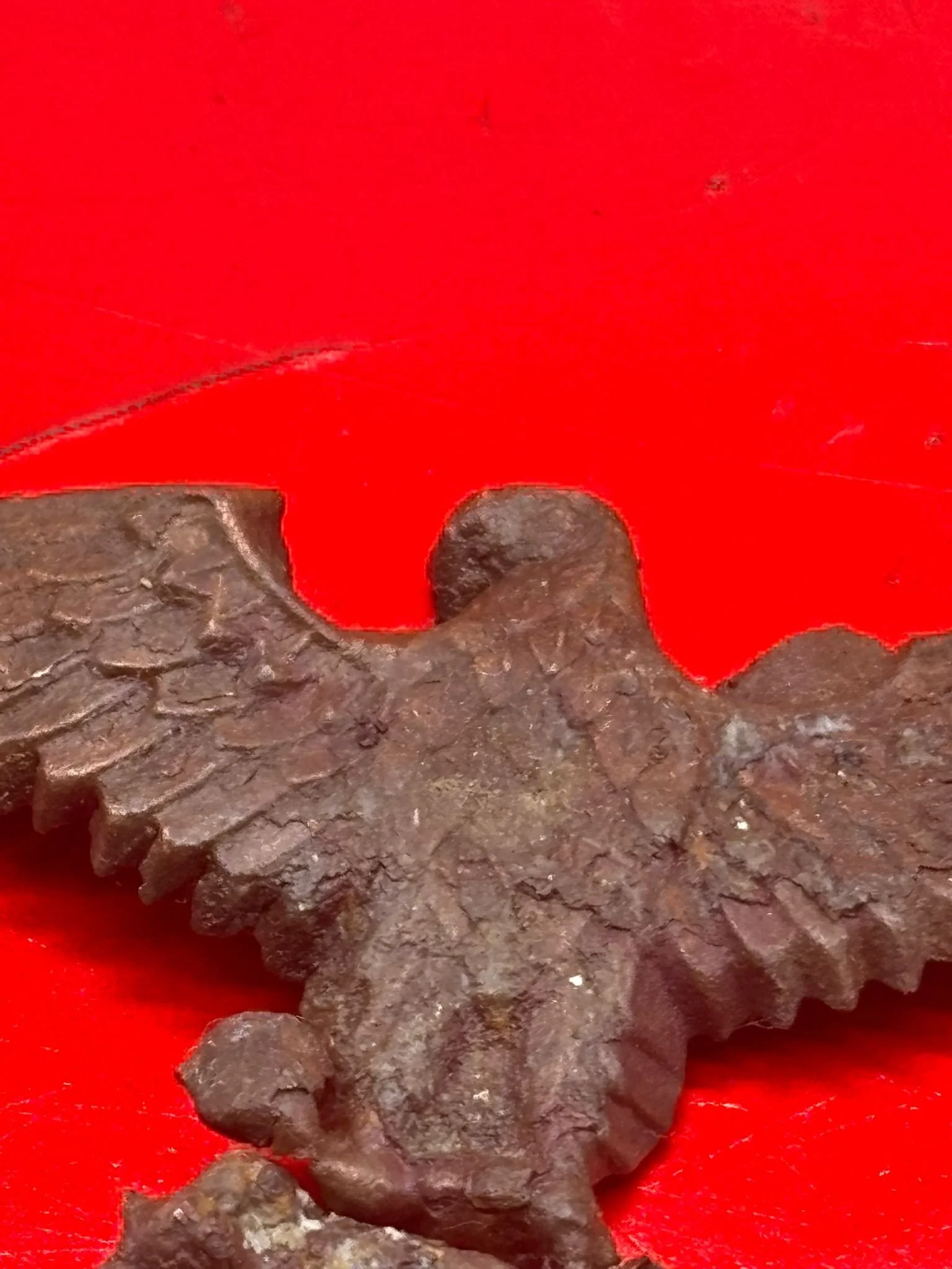 WhatsApp Image 2025-11-20 at 19.06.29.jpeg