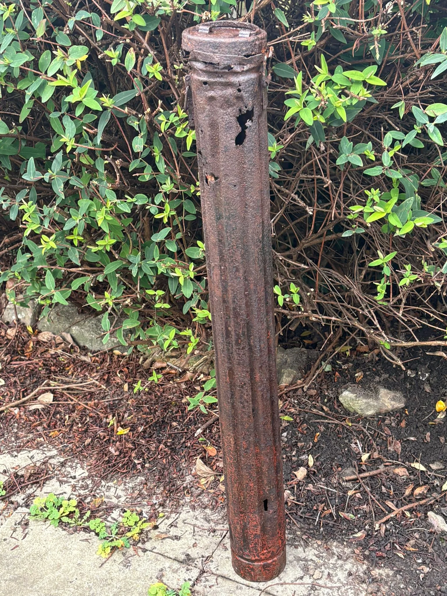 WhatsApp Image 2025-11-18 at 12.29.58 (1).jpeg