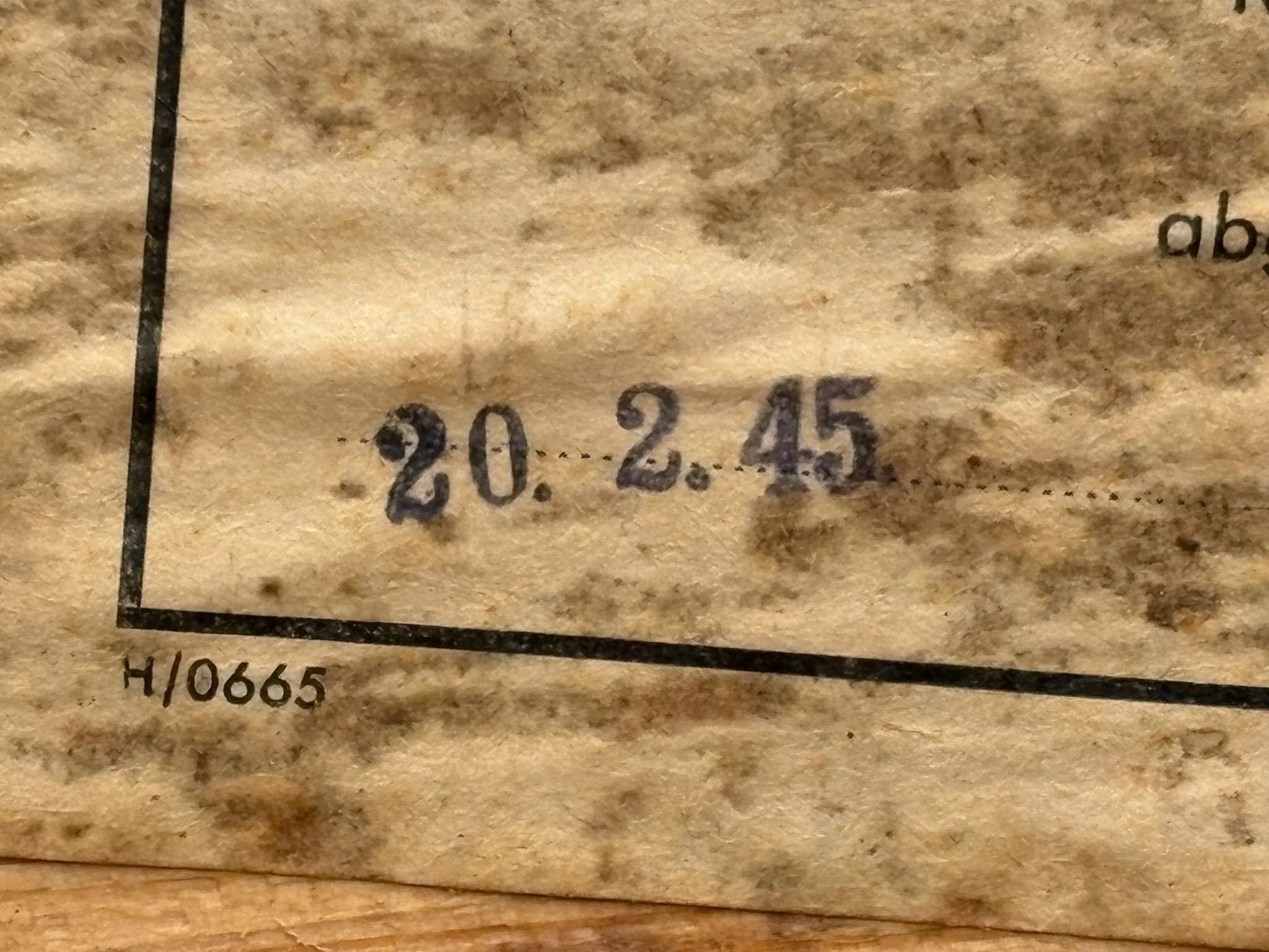 WhatsApp Image 2025-11-18 at 12.29.28 (9).jpeg