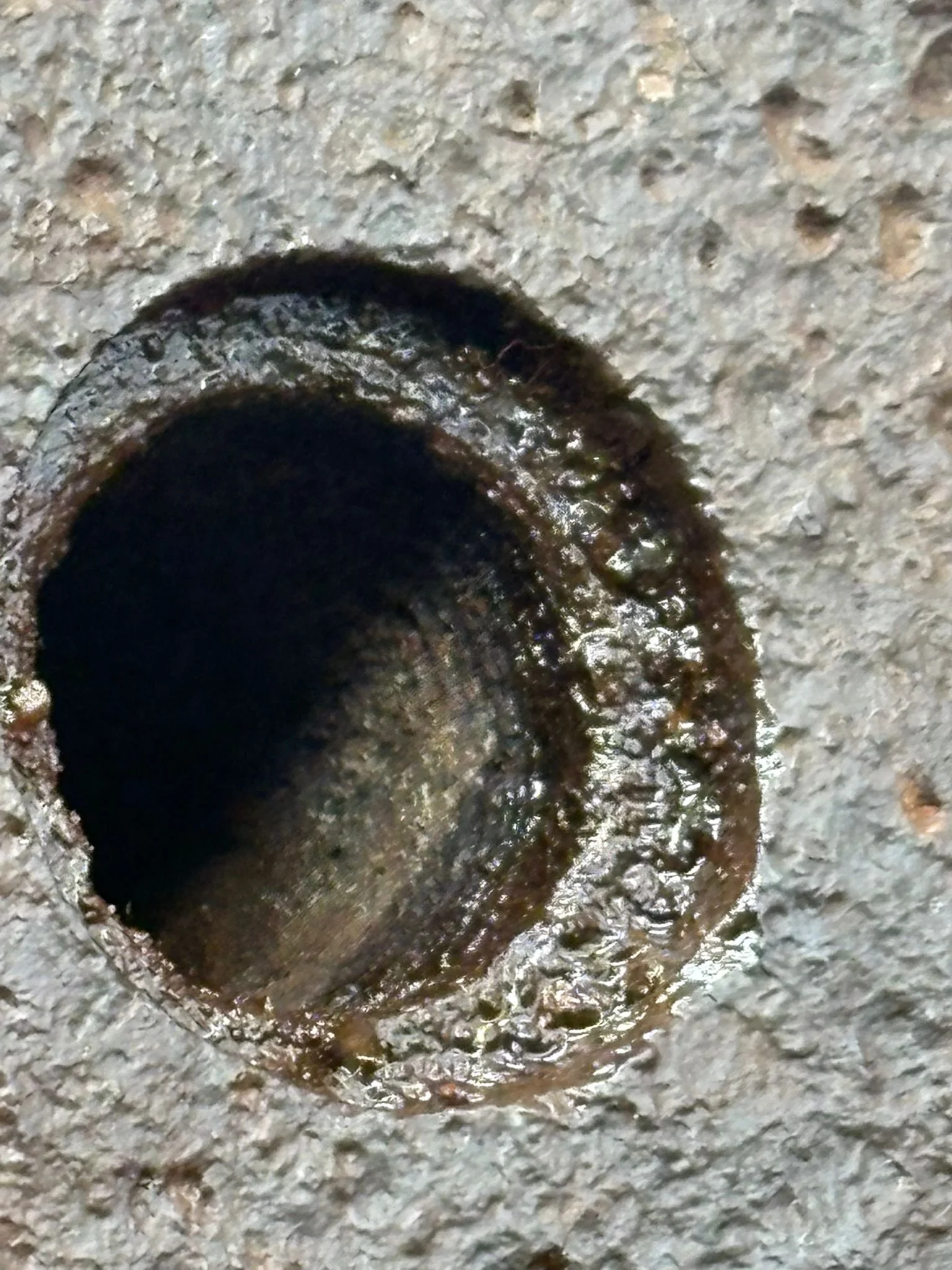 WhatsApp Image 2025-11-24 at 16.57.28 (4).jpeg