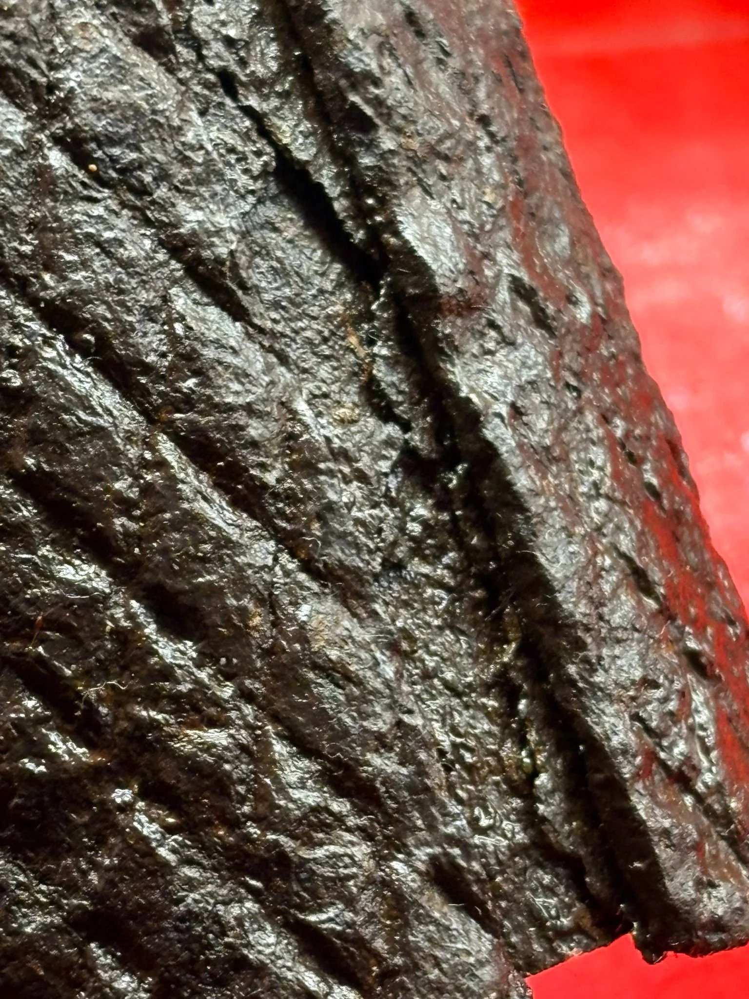 WhatsApp Image 2025-10-22 at 17.18.05 (1).jpeg