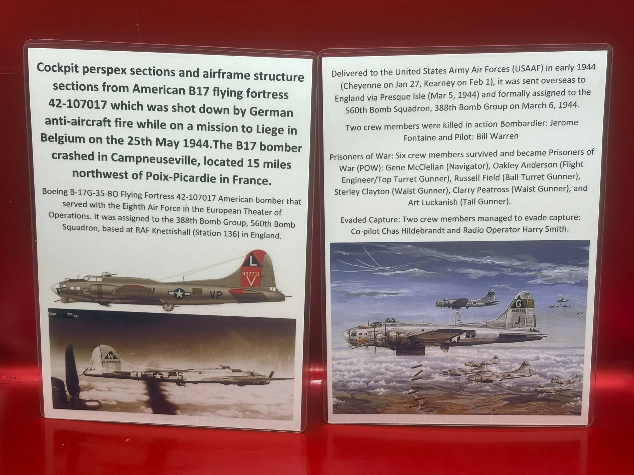 WhatsApp Image 2026-02-13 at 16.06.31 (3).jpeg