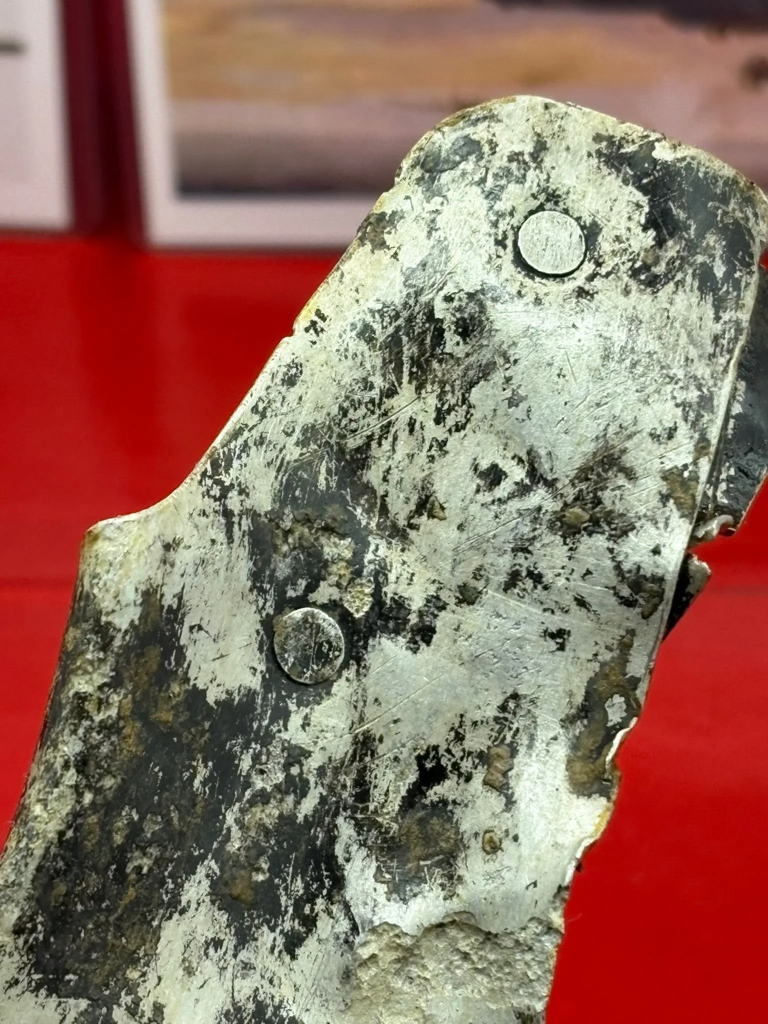 WhatsApp Image 2026-02-10 at 12.05.48.jpeg