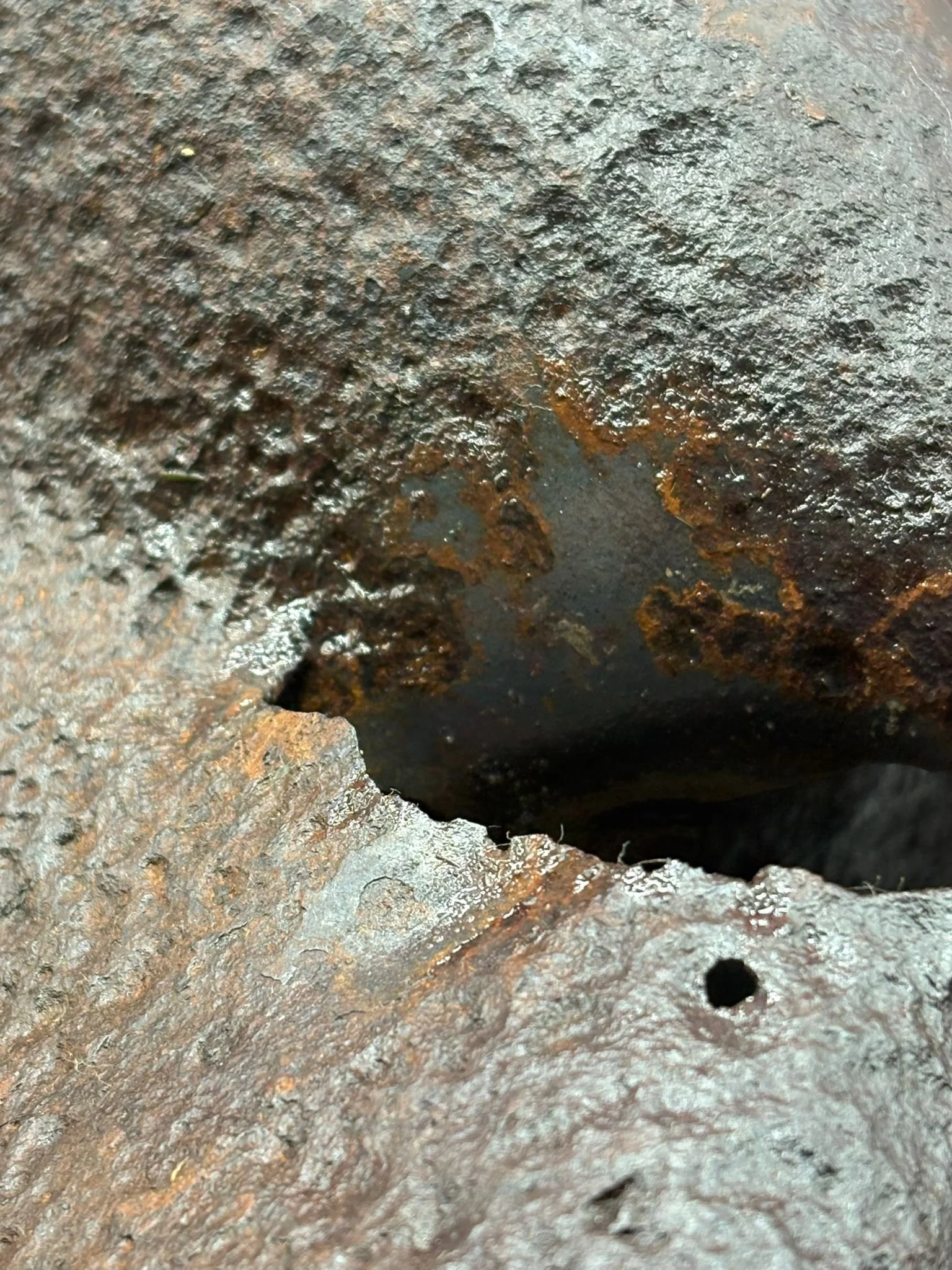 WhatsApp Image 2025-11-24 at 17.07.03 (6).jpeg