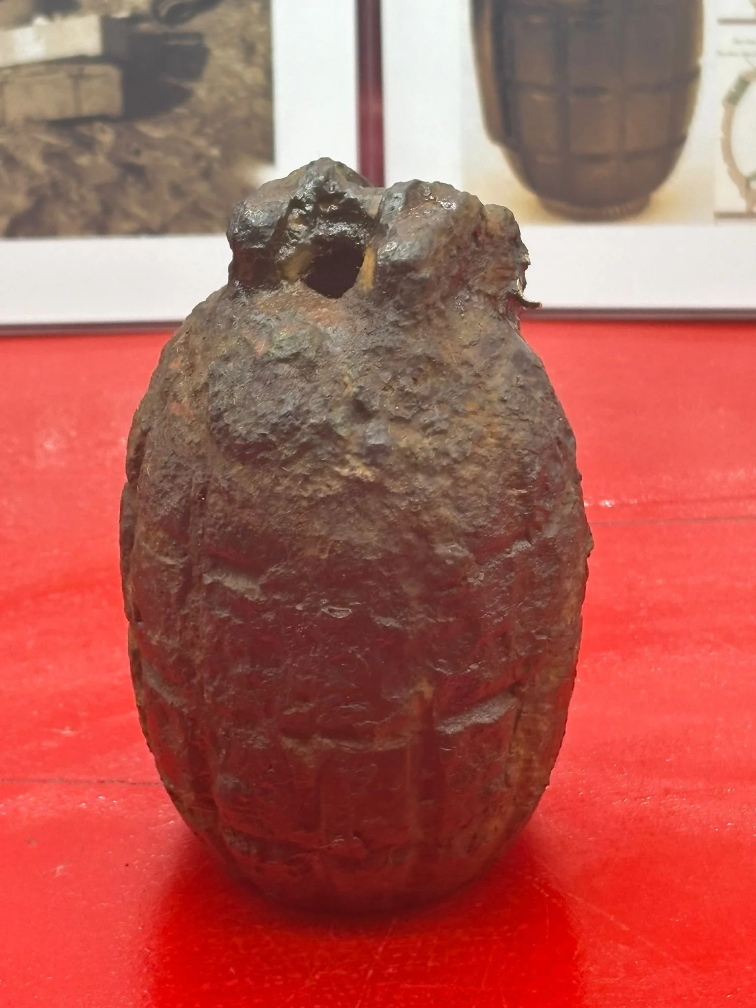 WhatsApp Image 2025-11-16 at 16.11.06.jpeg