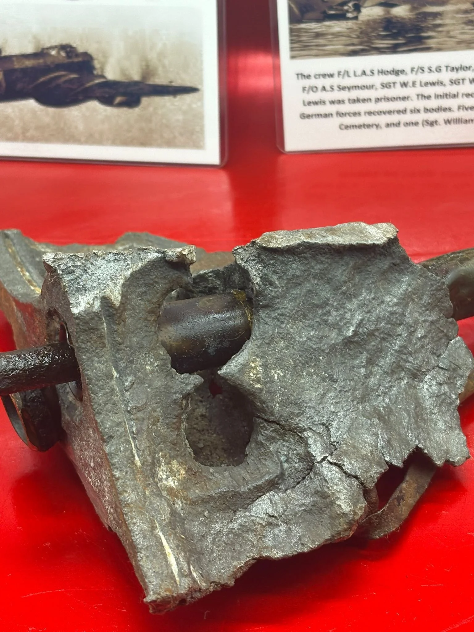 WhatsApp Image 2026-03-12 at 15.18.37.jpeg