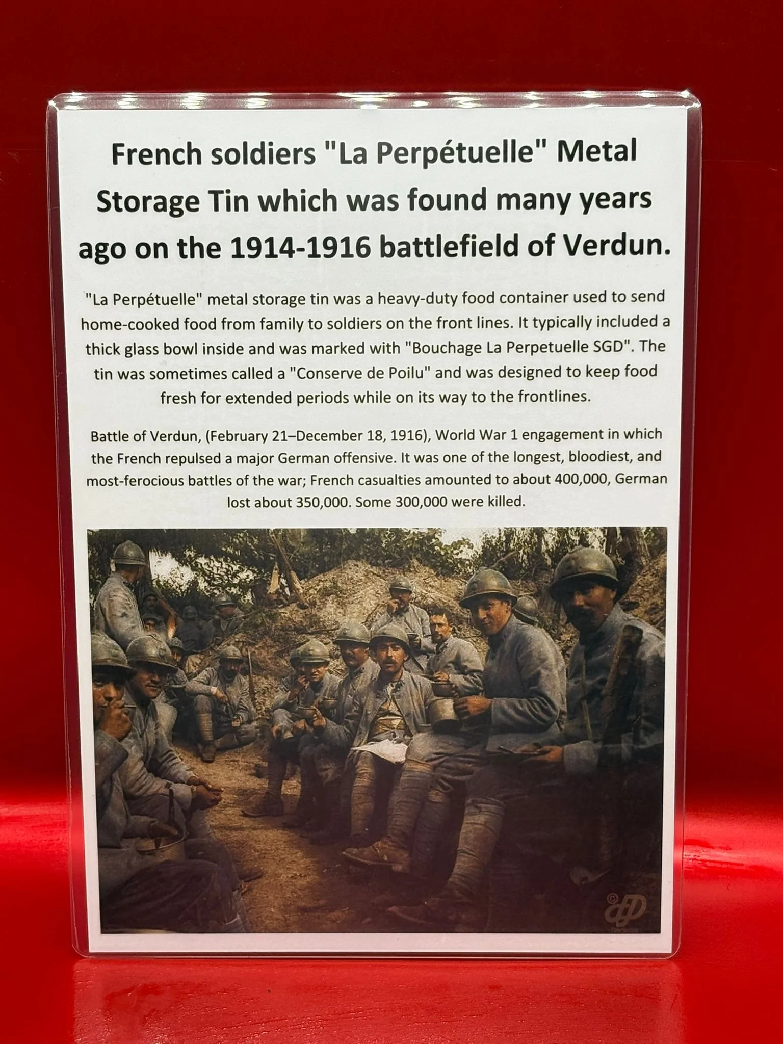 WhatsApp Image 2025-11-12 at 13.16.26 (8).jpeg