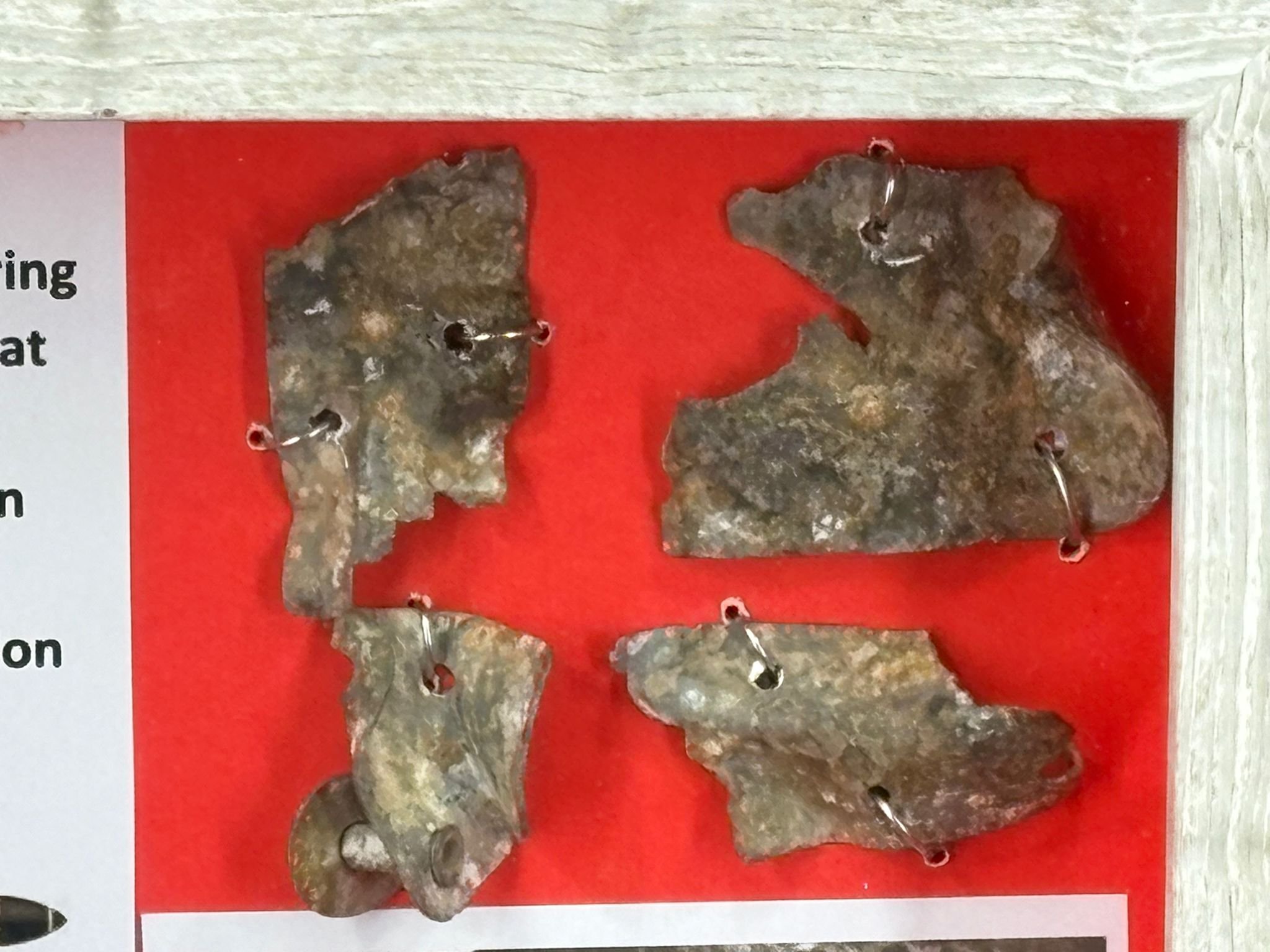 WhatsApp Image 2026-03-11 at 12.53.02.jpeg