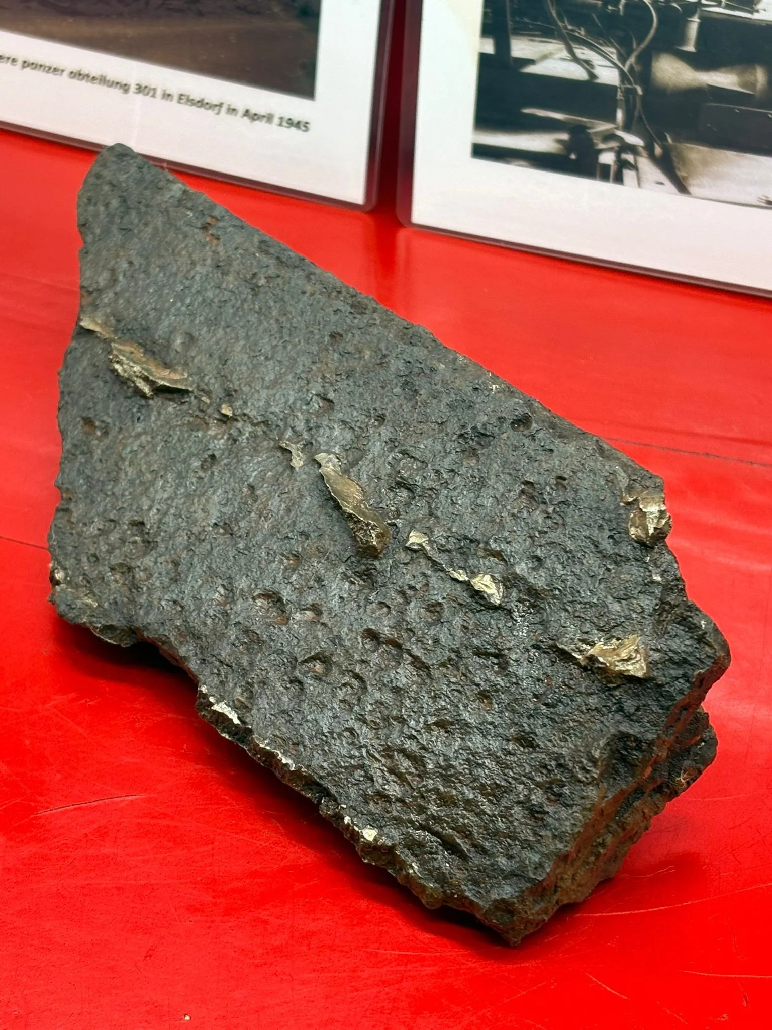 WhatsApp Image 2025-11-24 at 16.54.46 (1).jpeg