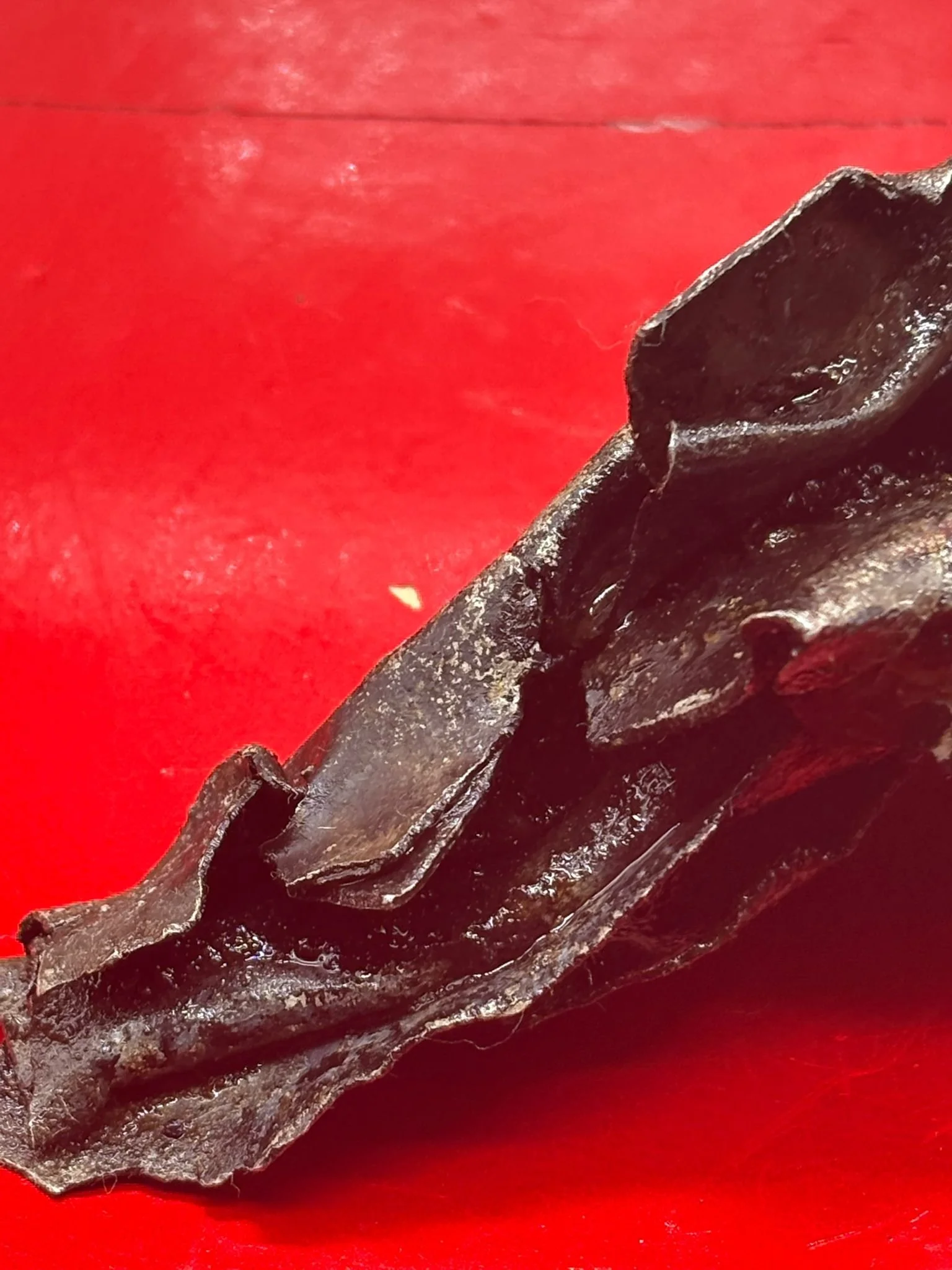 WhatsApp Image 2026-03-12 at 14.23.22 (3).jpeg