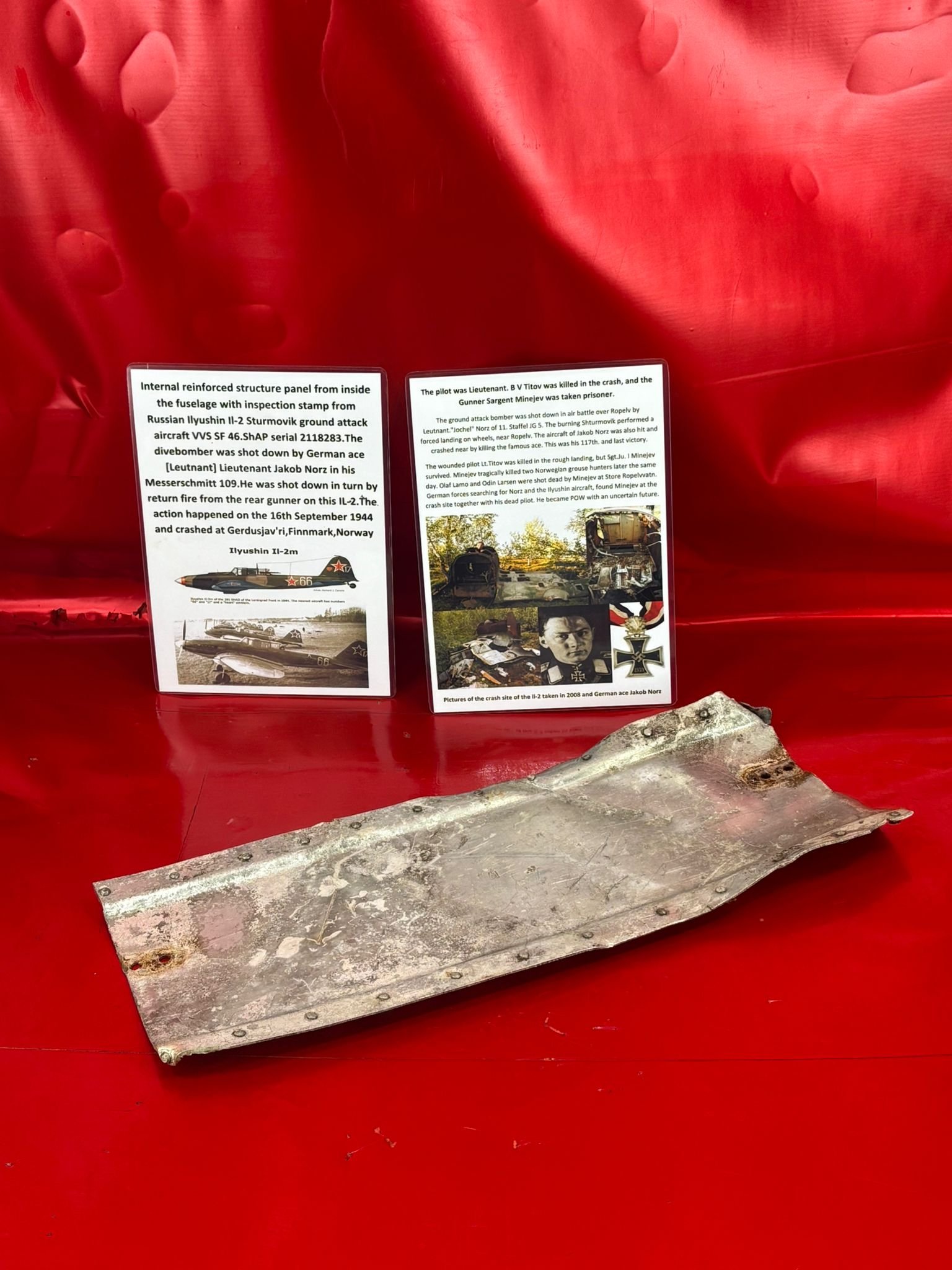 WhatsApp Image 2026-02-10 at 11.47.44.jpeg