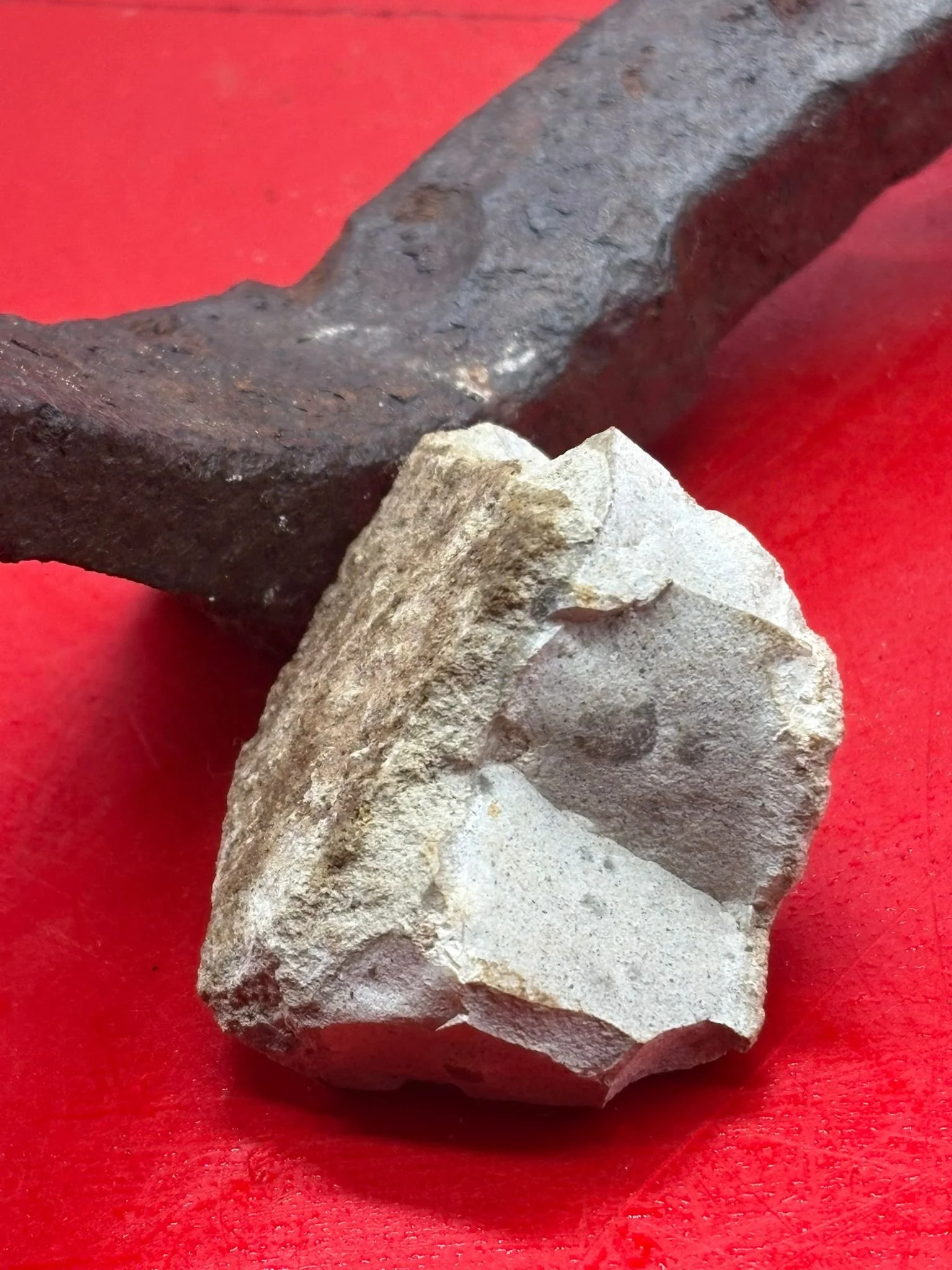 WhatsApp Image 2025-11-20 at 18.50.11 (4).jpeg