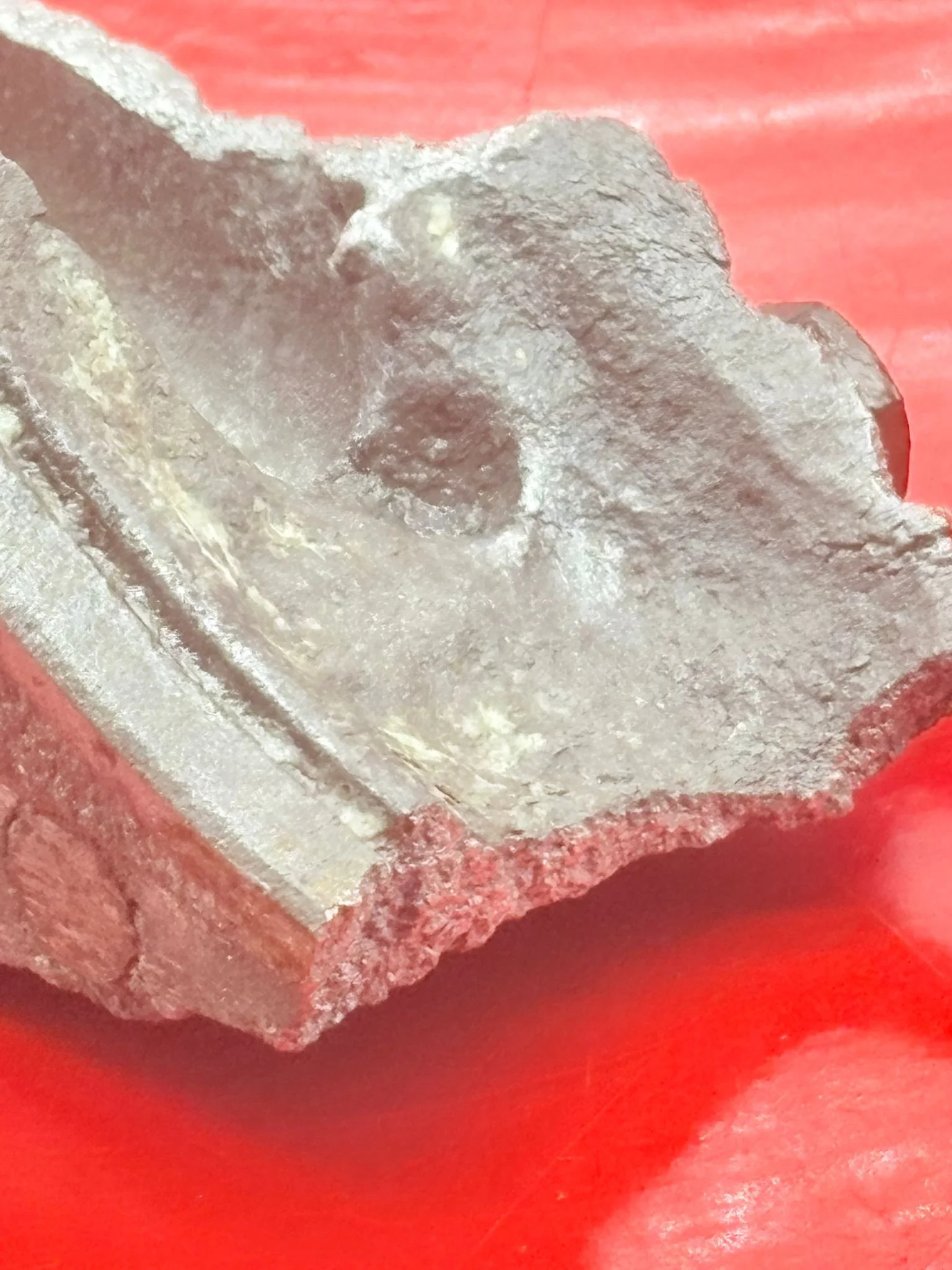 WhatsApp Image 2025-12-08 at 16.07.20 (3).jpeg