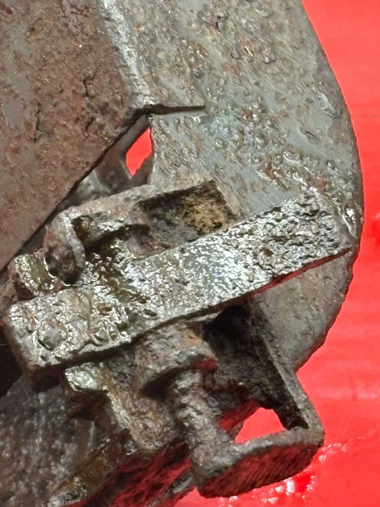 WhatsApp Image 2026-02-10 at 12.09.32 (4).jpeg