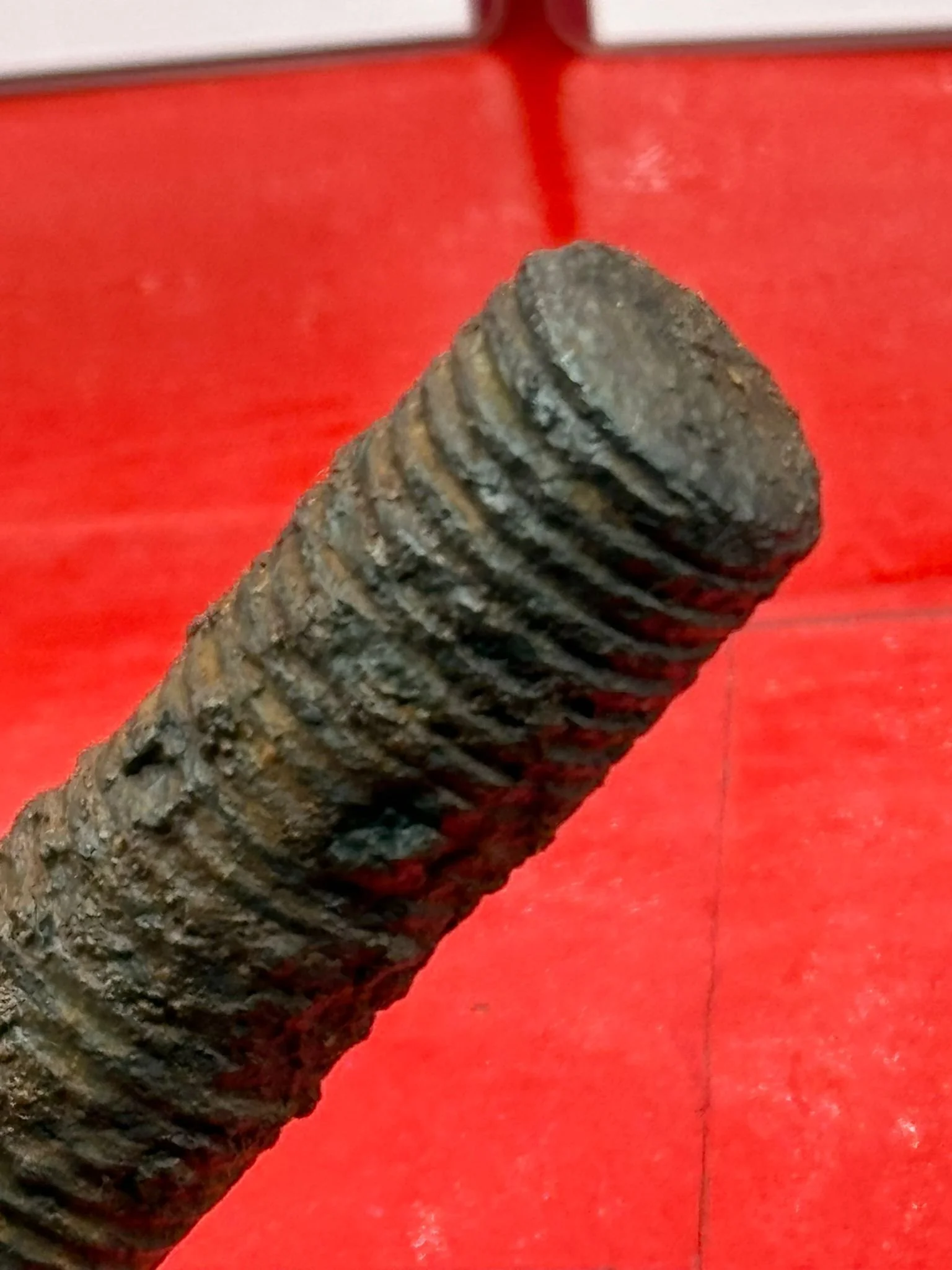 WhatsApp Image 2025-11-12 at 13.11.46 (1).jpeg