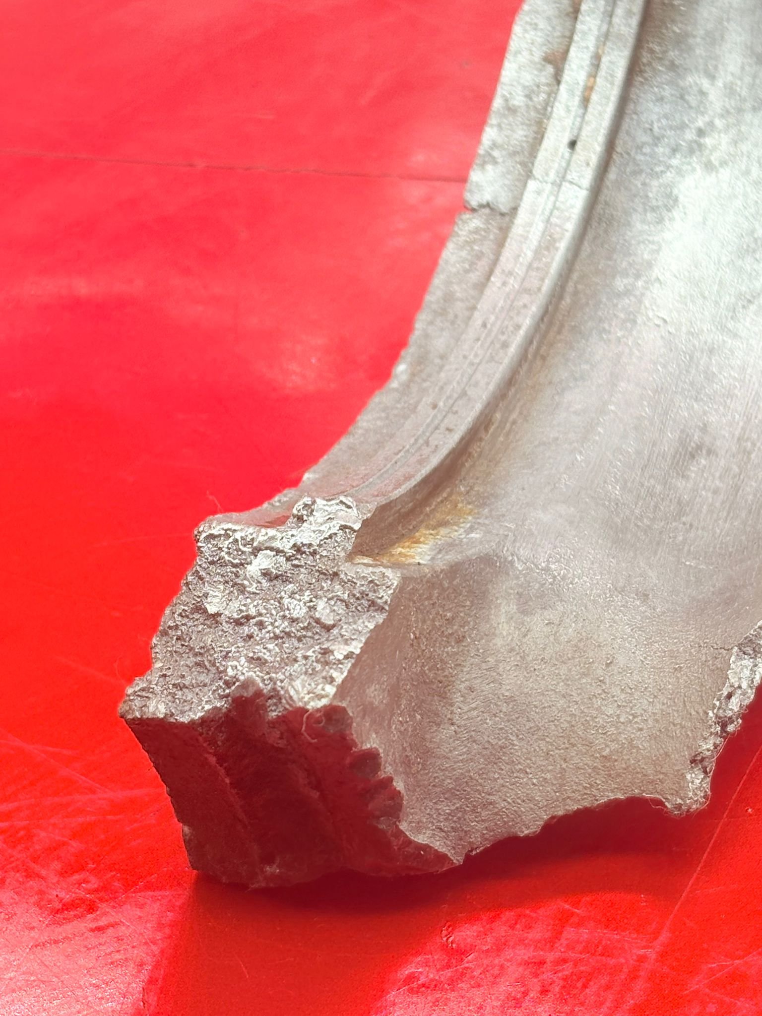 WhatsApp Image 2025-12-08 at 16.47.24 (1).jpeg