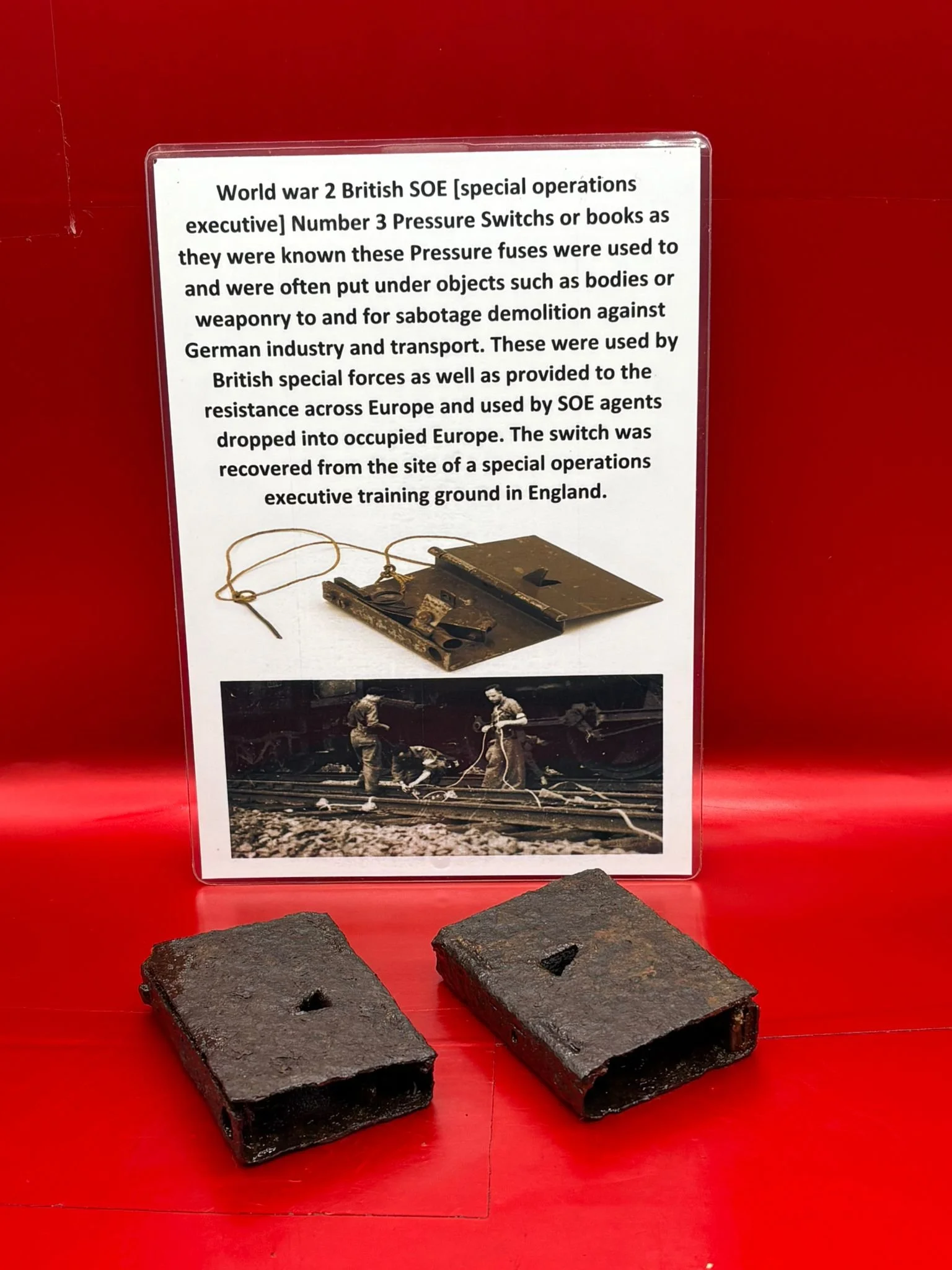 WhatsApp Image 2025-10-23 at 13.04.56 (4).jpeg