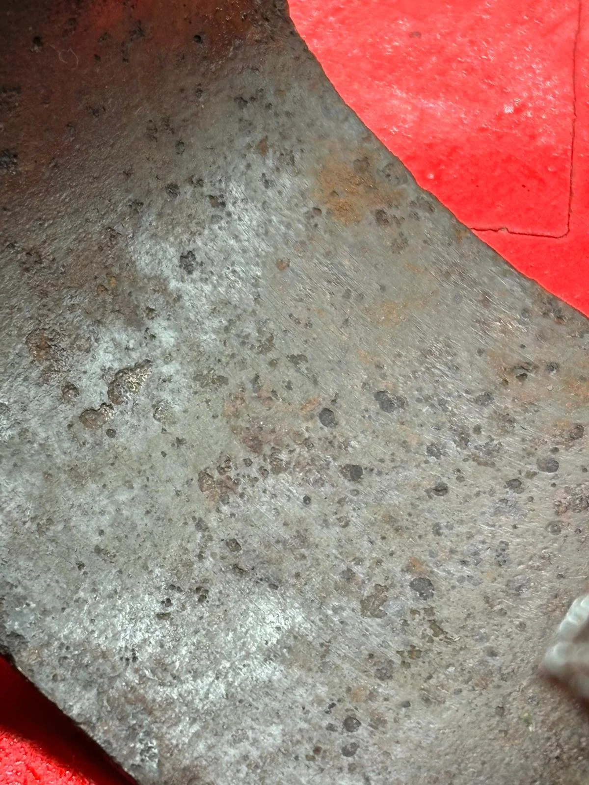 WhatsApp Image 2025-10-22 at 15.01.23.jpeg