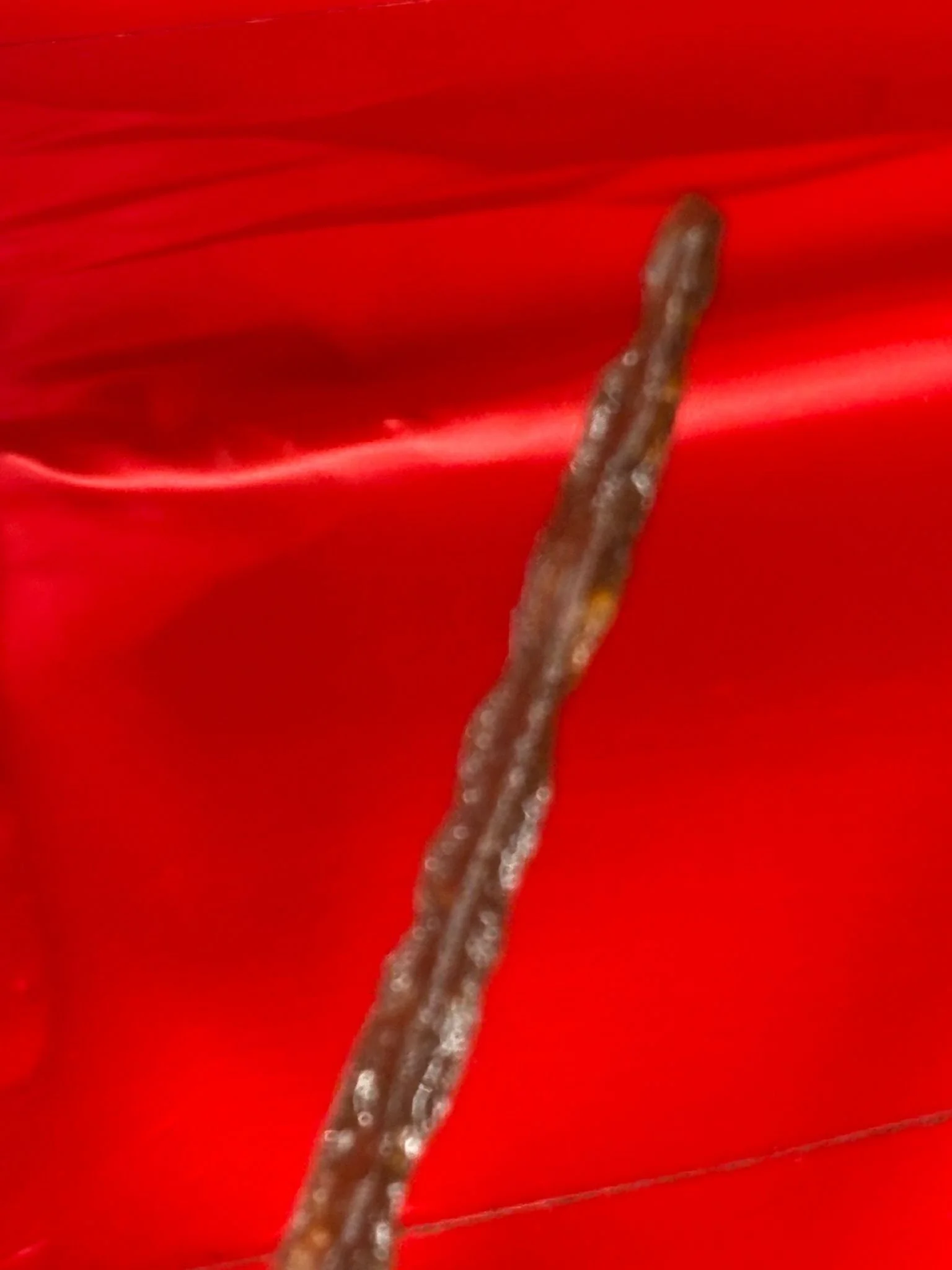 WhatsApp Image 2025-11-16 at 16.04.35 (5).jpeg