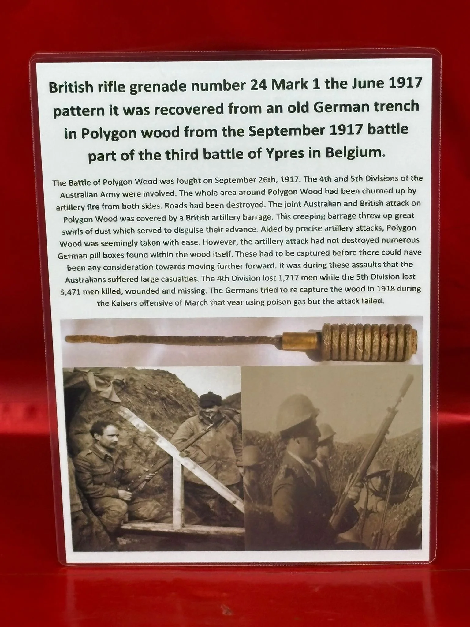 WhatsApp Image 2025-11-16 at 15.57.27 (3).jpeg