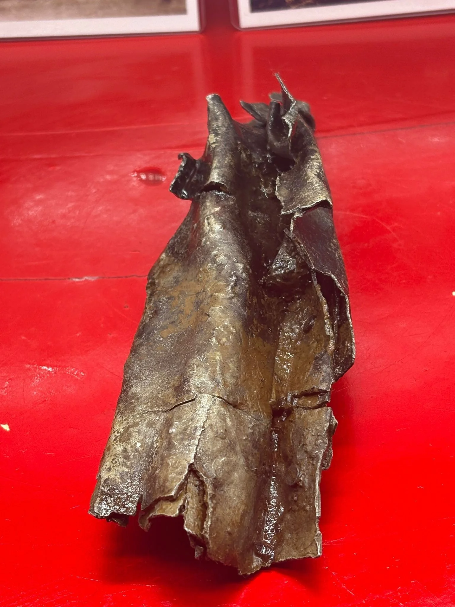 WhatsApp Image 2026-03-12 at 14.23.22 (2).jpeg