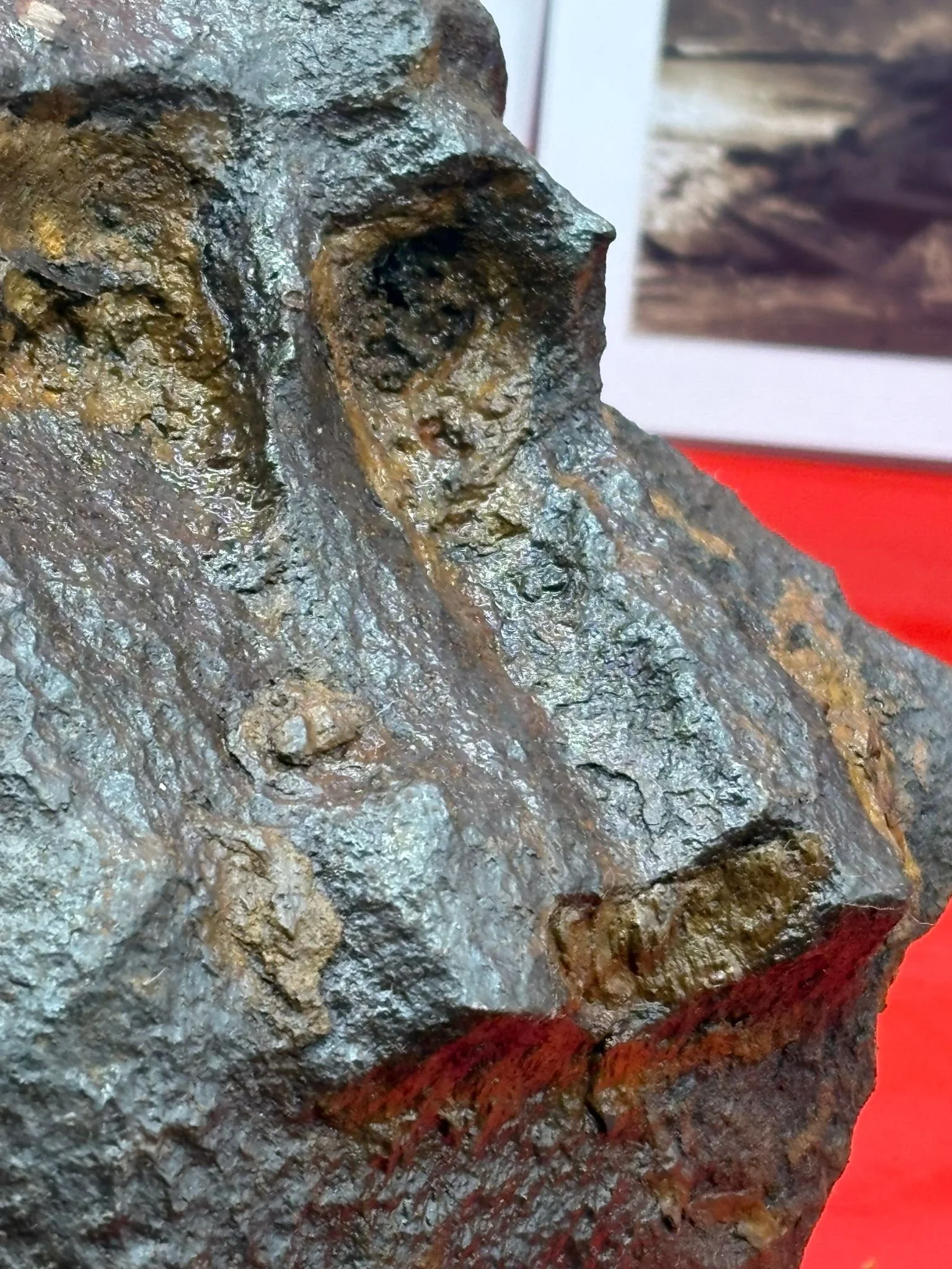 WhatsApp Image 2025-11-24 at 16.53.18 (5).jpeg