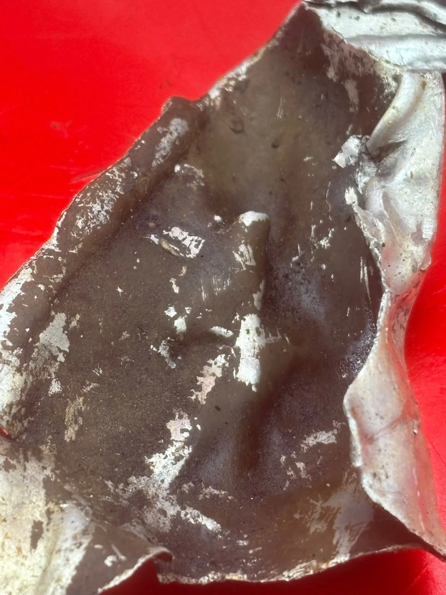 WhatsApp Image 2026-02-13 at 16.06.31 (1).jpeg