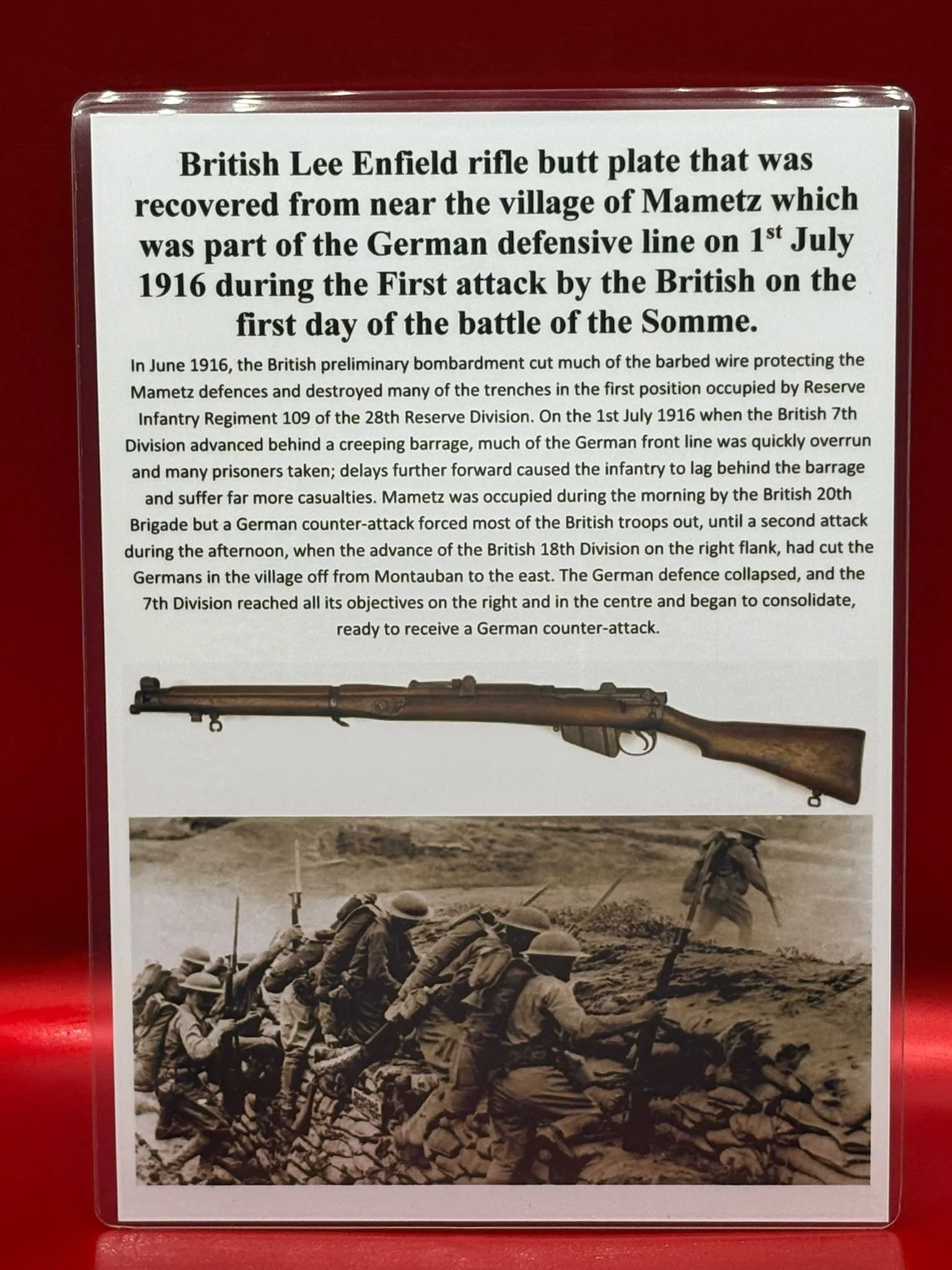 WhatsApp Image 2025-11-12 at 14.53.35 (1).jpeg