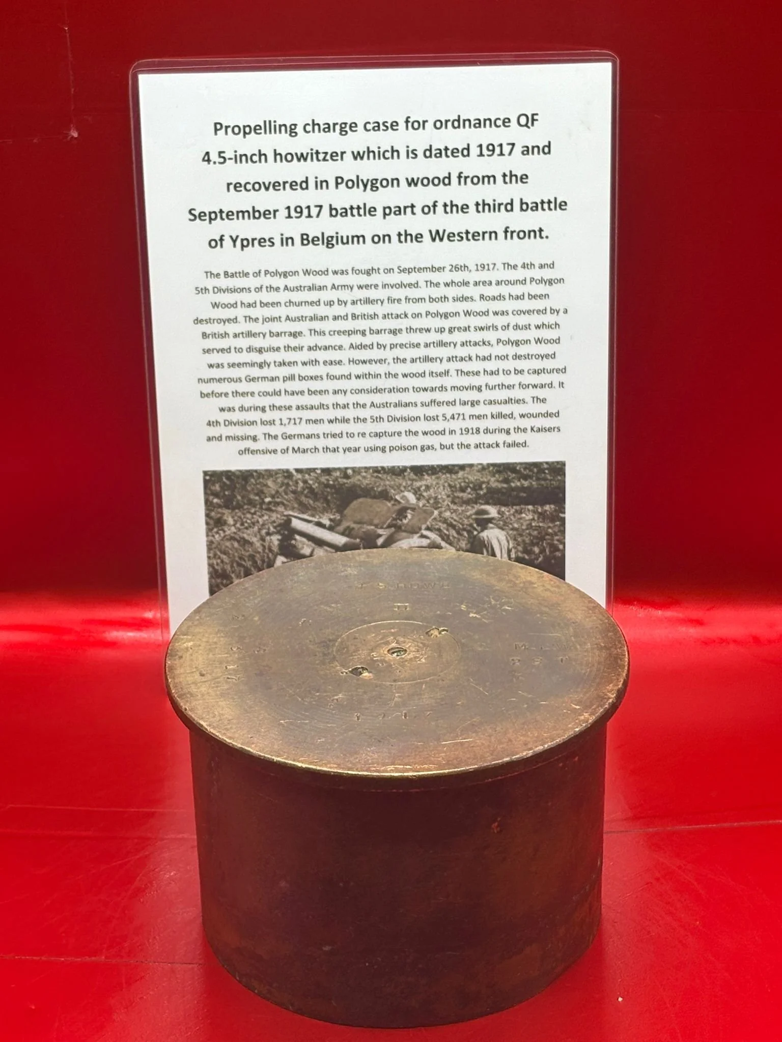 WhatsApp Image 2025-11-11 at 10.26.18.jpeg