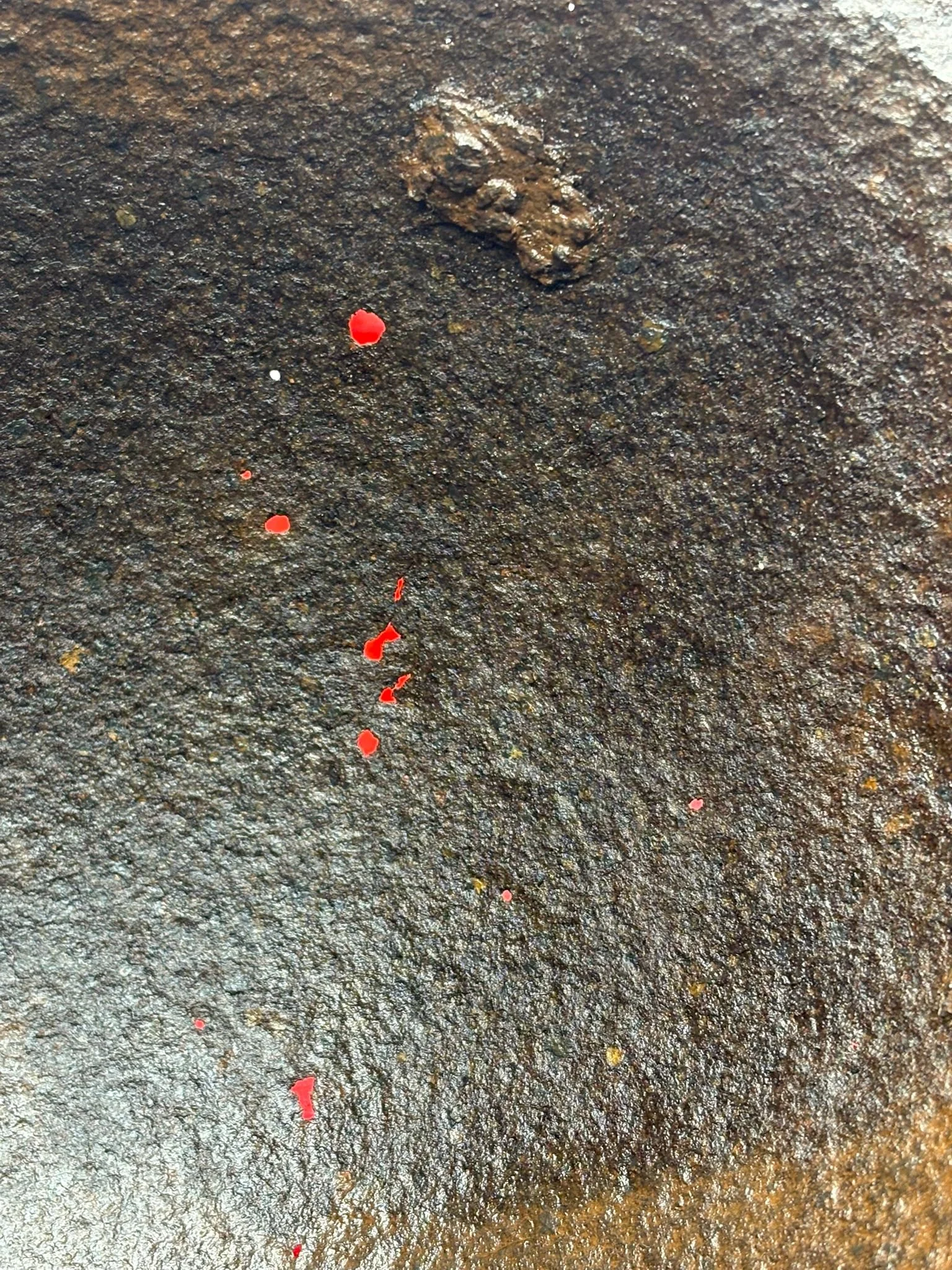 WhatsApp Image 2025-10-27 at 15.59.05.jpeg