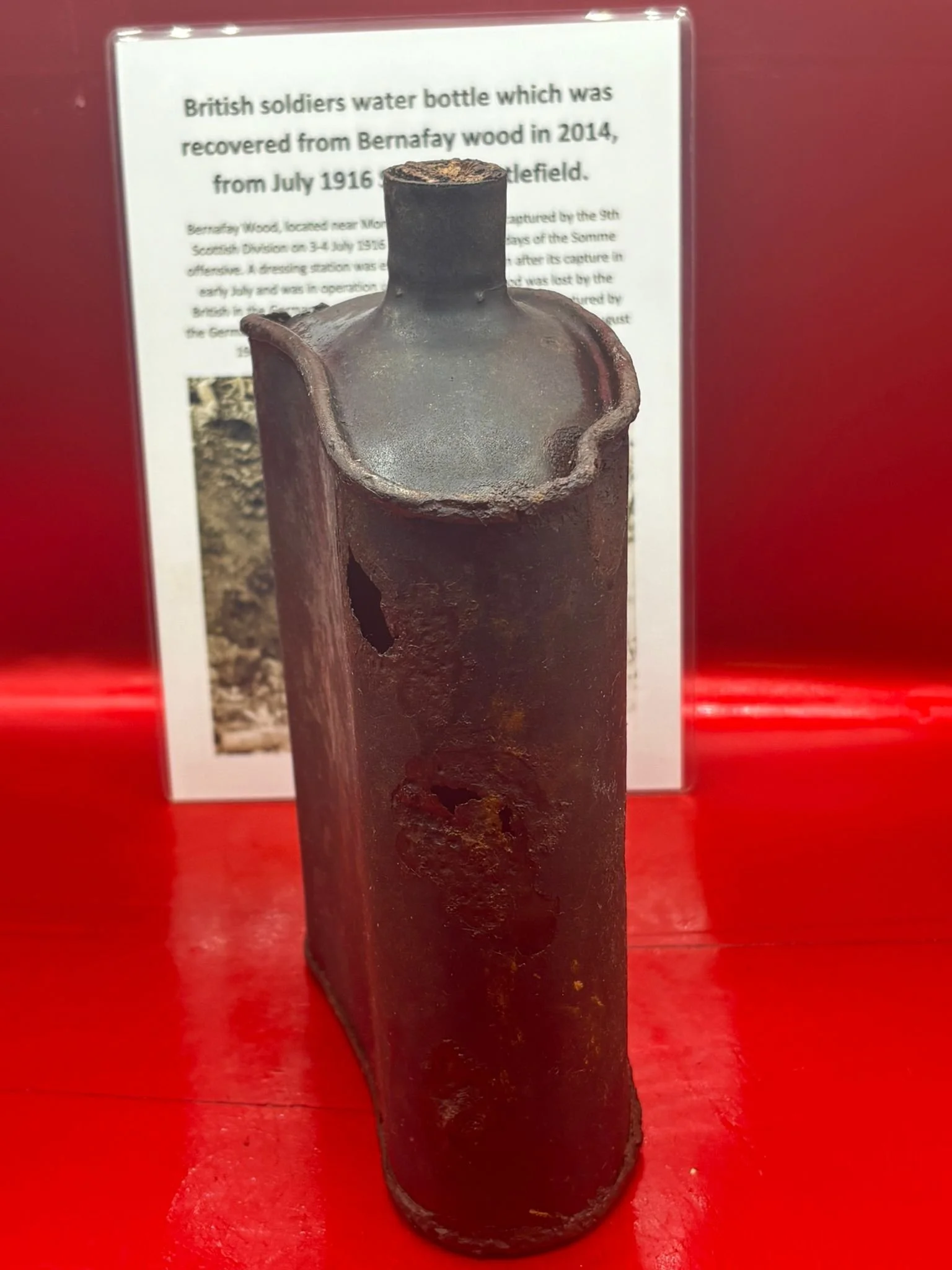 WhatsApp Image 2025-11-11 at 10.19.48 (3).jpeg