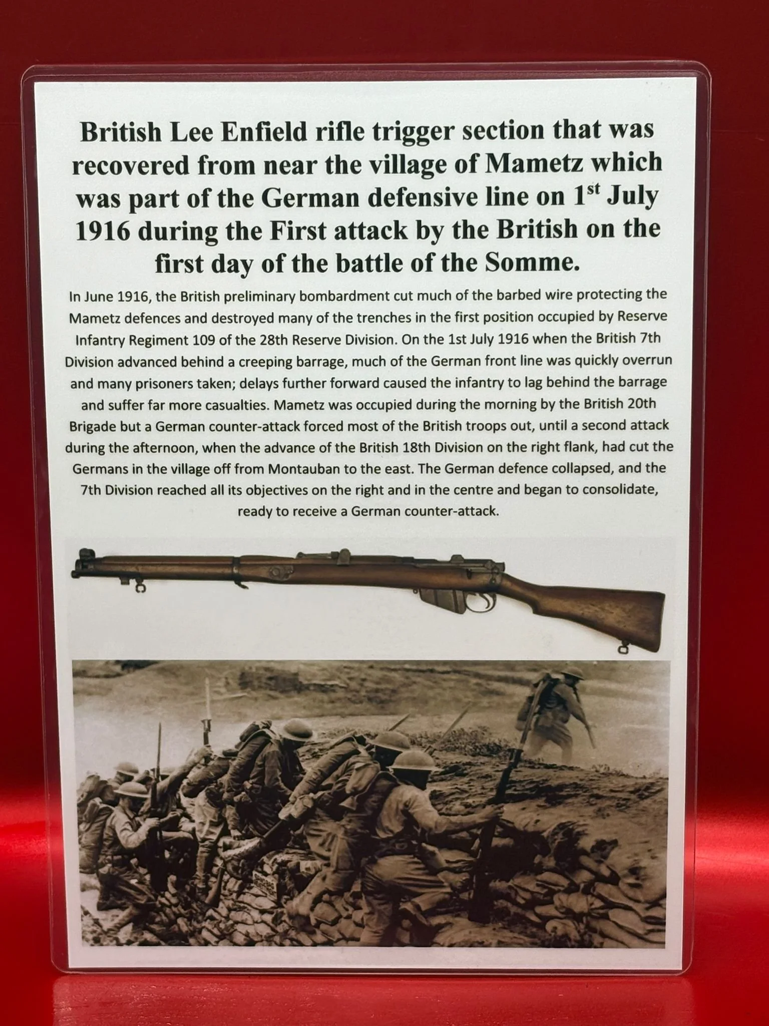 WhatsApp Image 2025-11-12 at 14.52.27 (4).jpeg