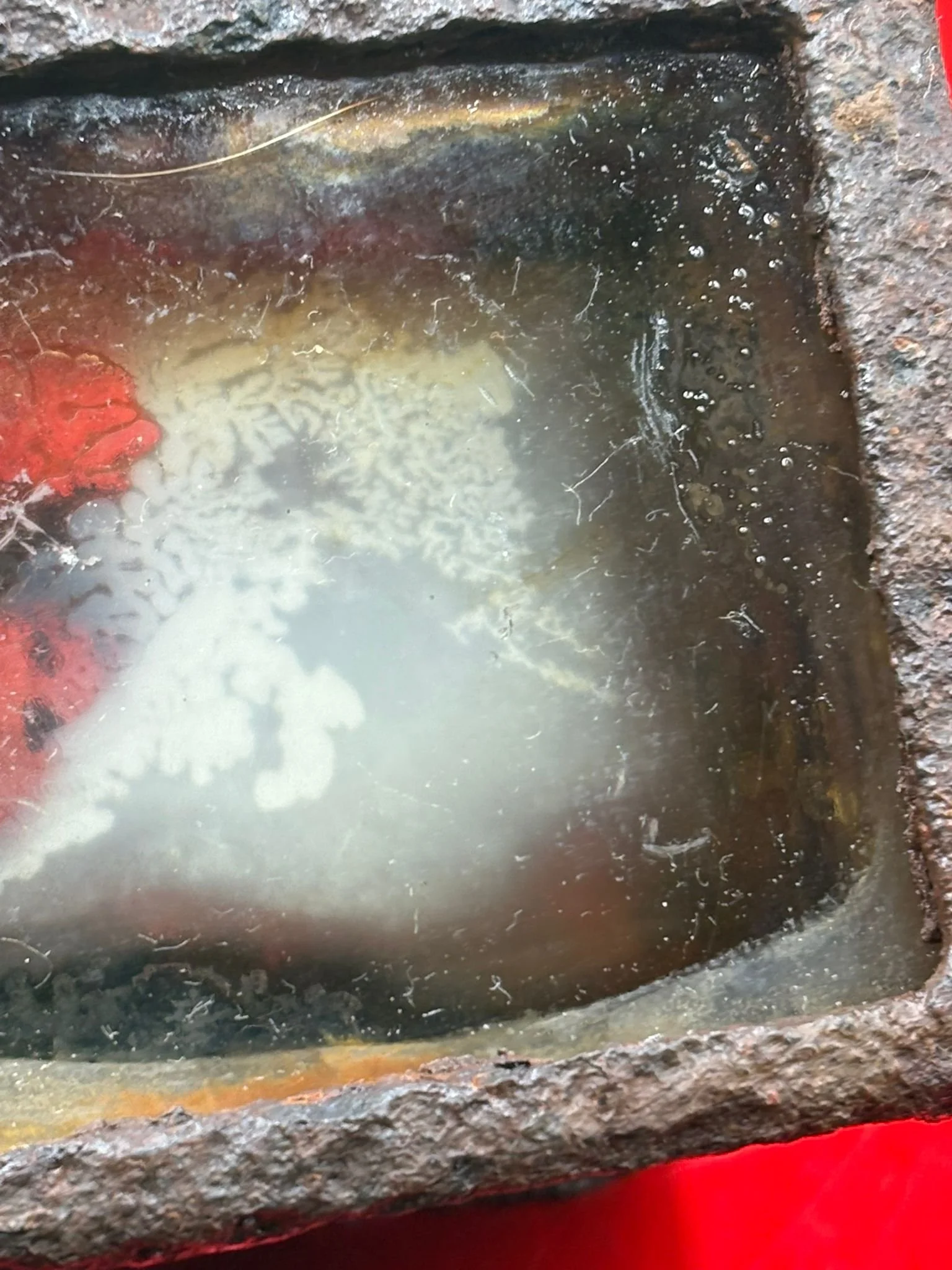 WhatsApp Image 2025-11-24 at 17.05.31 (3).jpeg