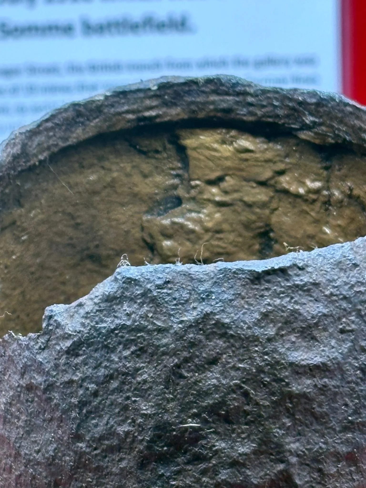 WhatsApp Image 2025-11-12 at 14.59.17 (5).jpeg