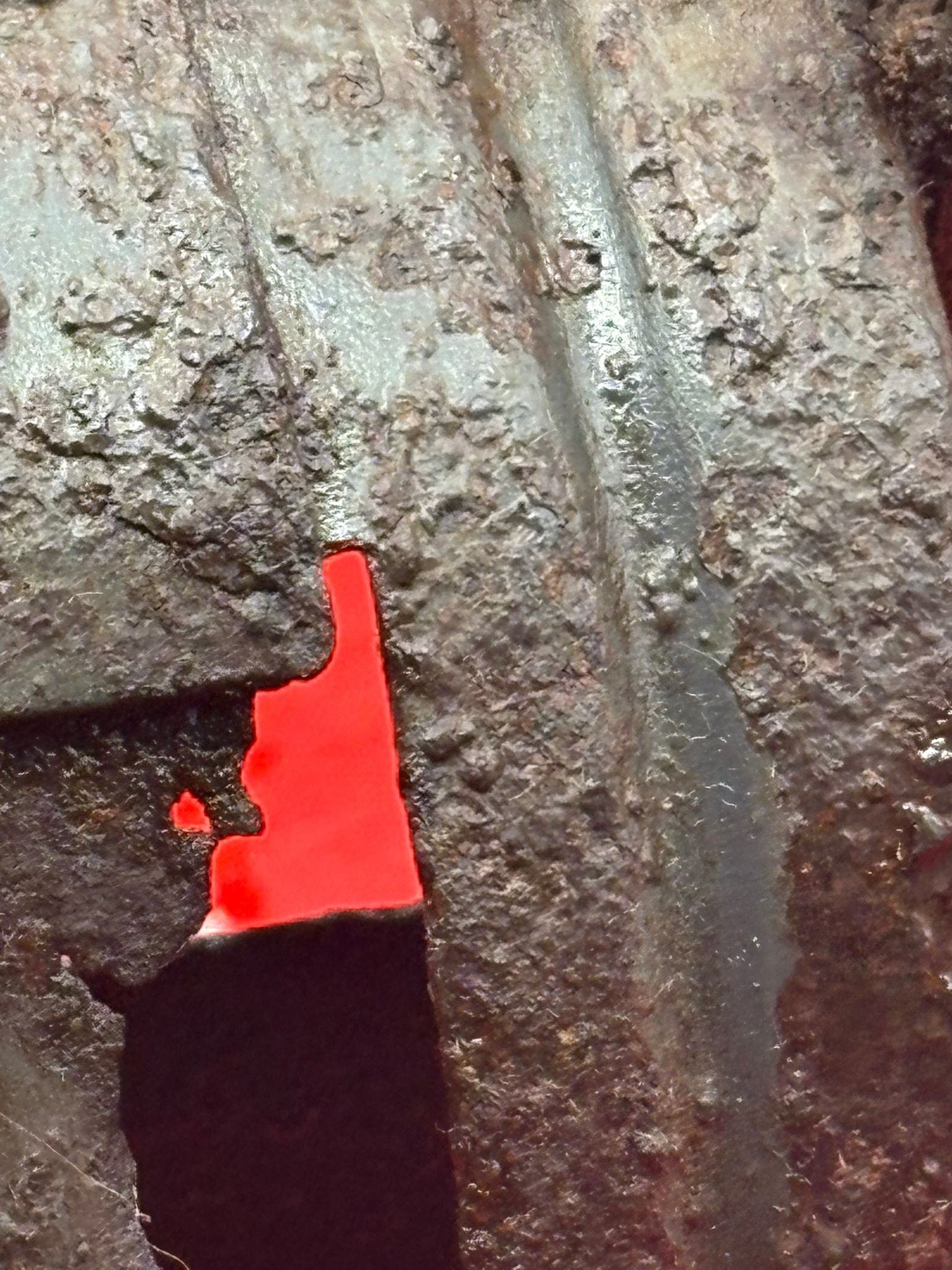 WhatsApp Image 2026-02-10 at 12.09.32 (2).jpeg