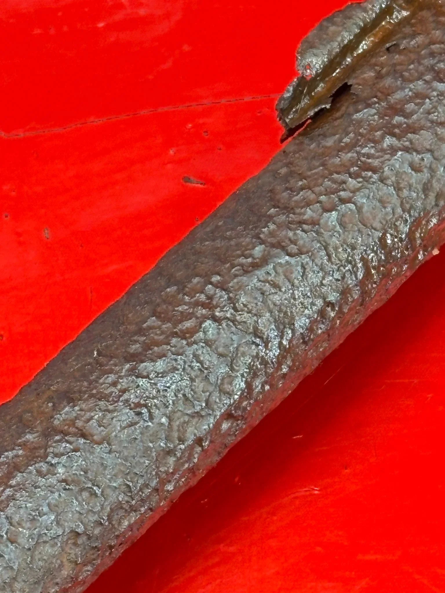 WhatsApp Image 2025-10-27 at 15.31.11 (3).jpeg