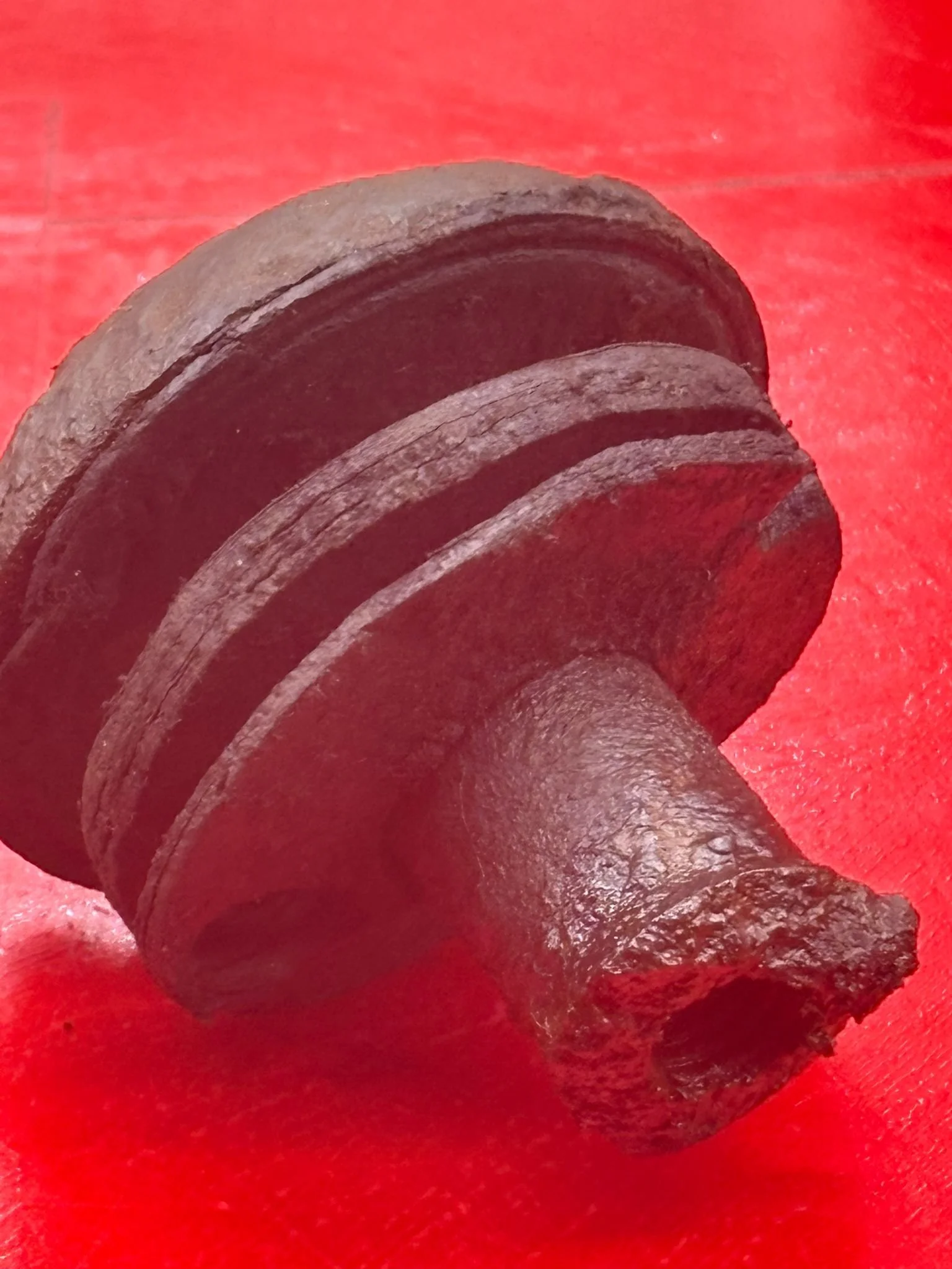 WhatsApp Image 2025-11-16 at 16.12.29.jpeg