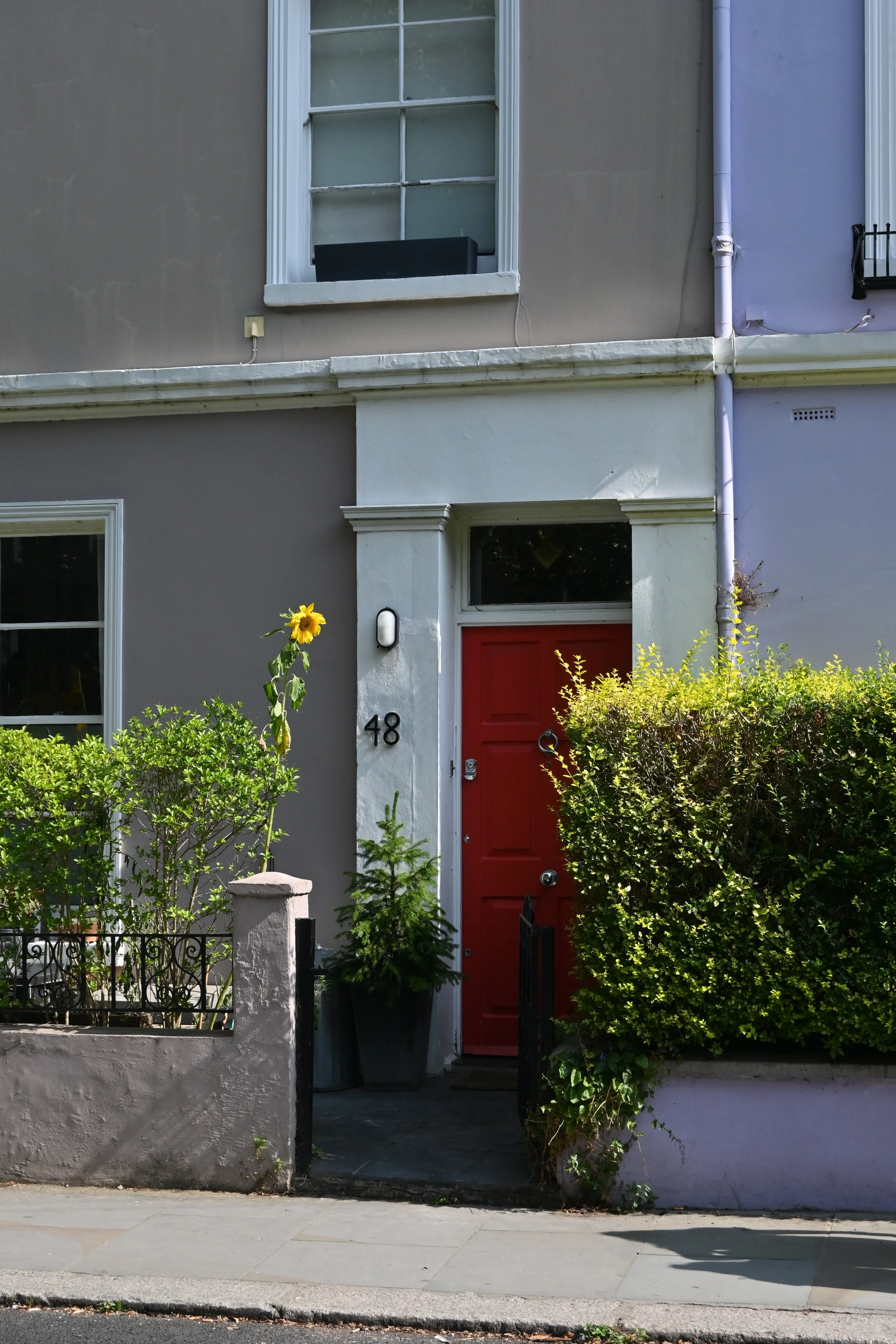 Casa con pareti grigie e una porta rossa, numerata 48, con un giardino fiorito e una siepe verde, una pianta di girasole e una pianta di conifera in vasi. Portobello Market a Londra