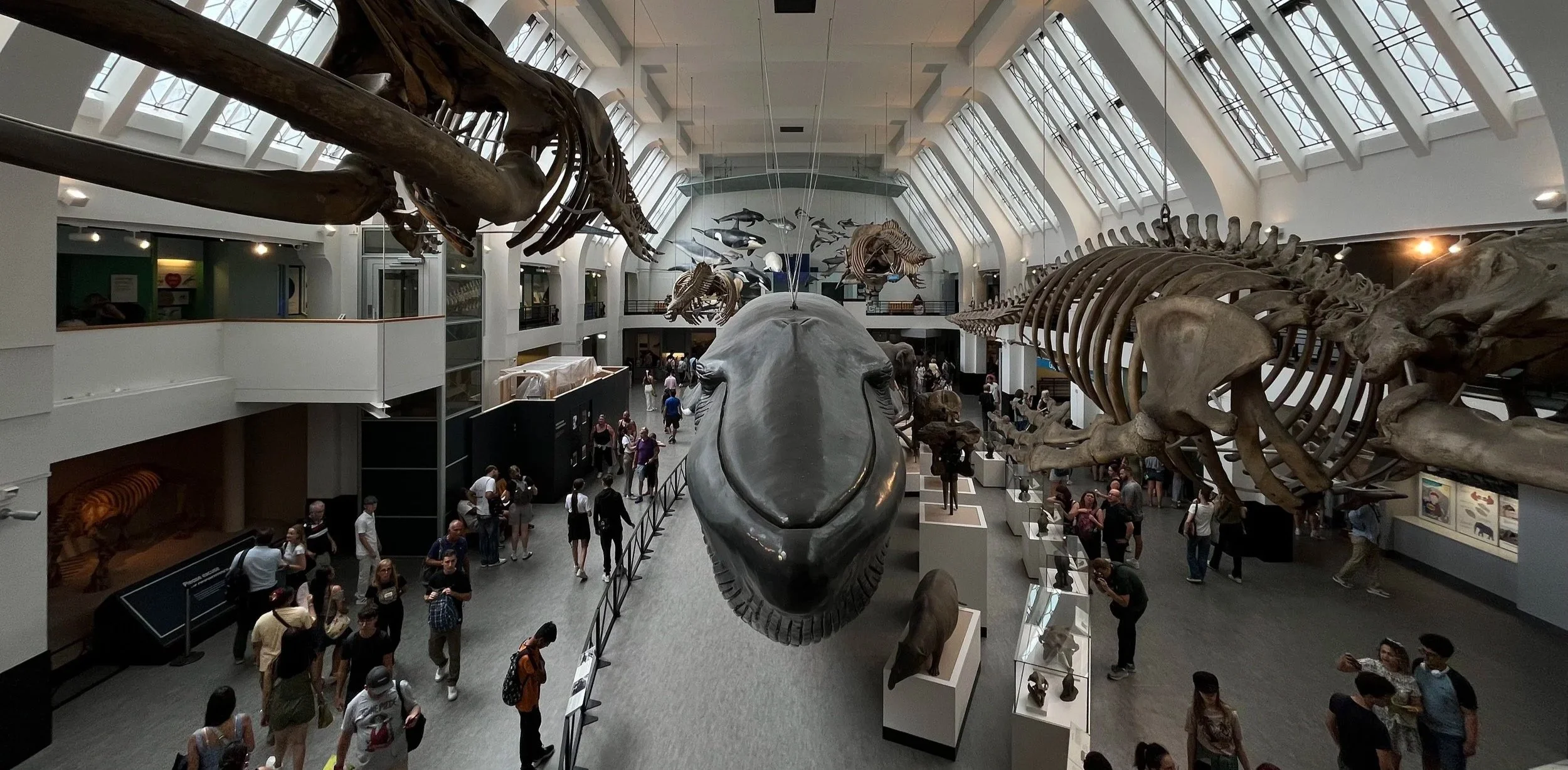 museo di storia naturale itinerario 7 giorni londra