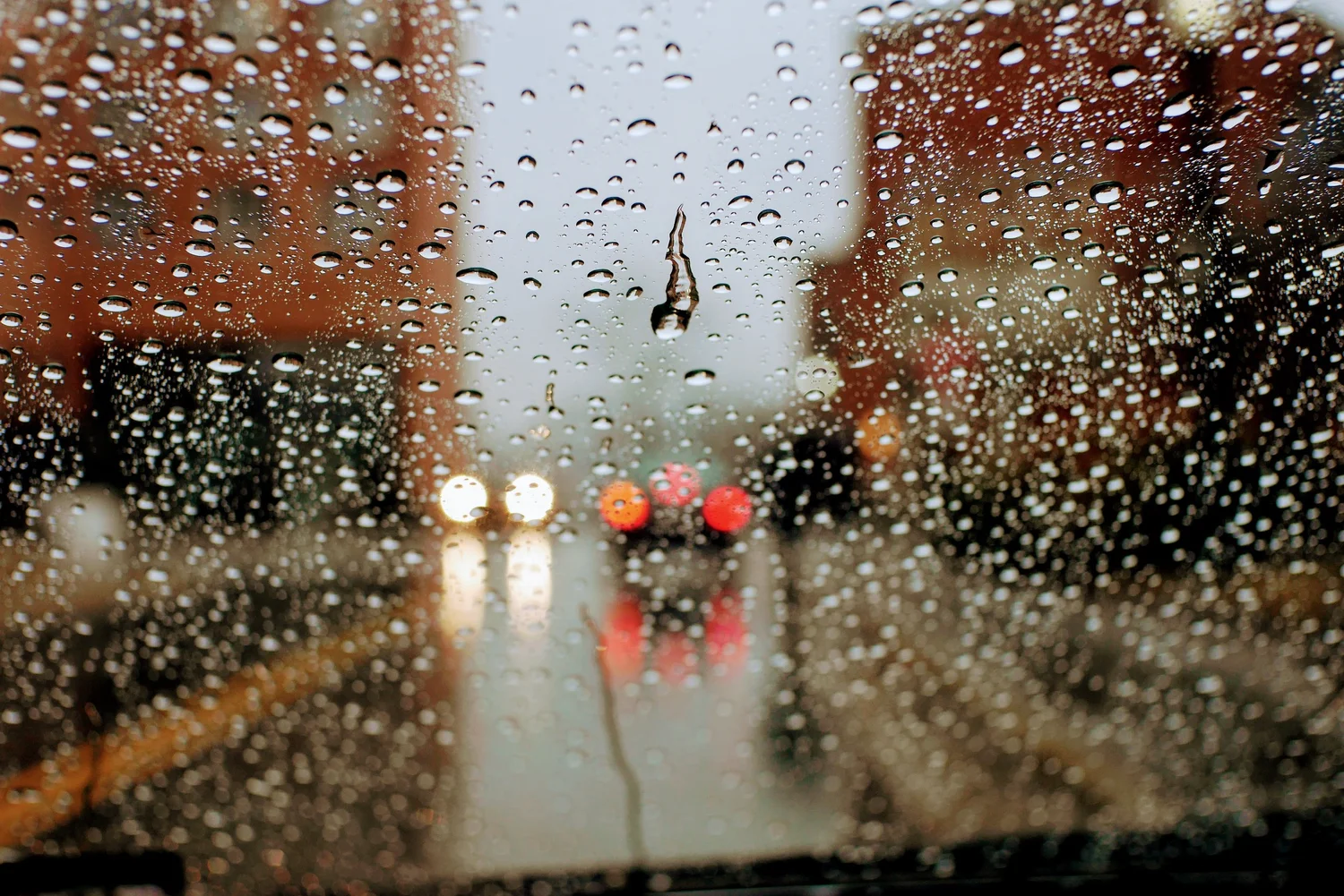 Rick Alfonso Photography