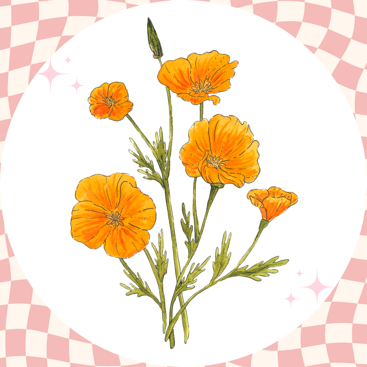 California Poppy