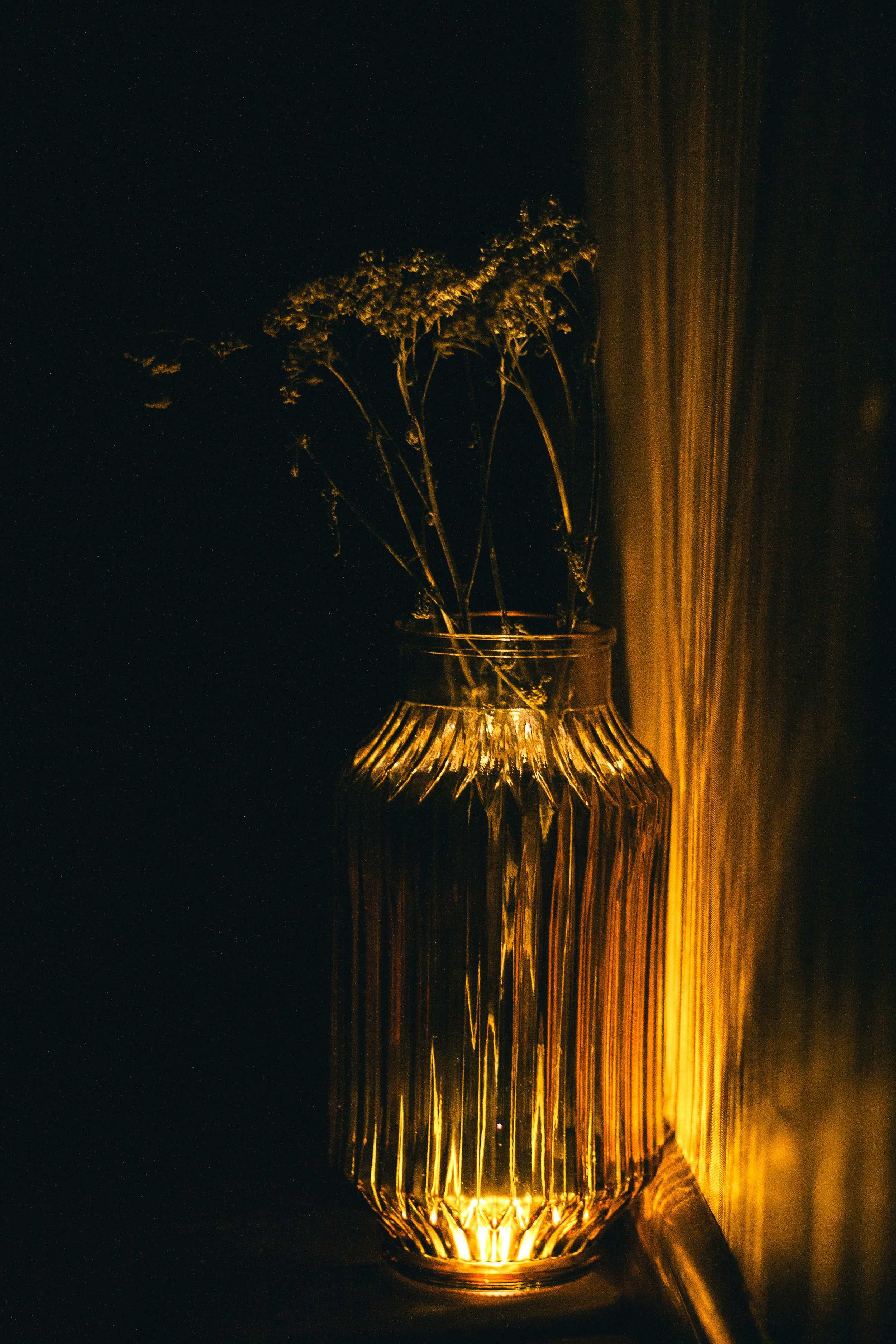 A glass vase with a ribbed design containing a bouquet of dried flowers, illuminated from below, creating a warm glow in a dark room.