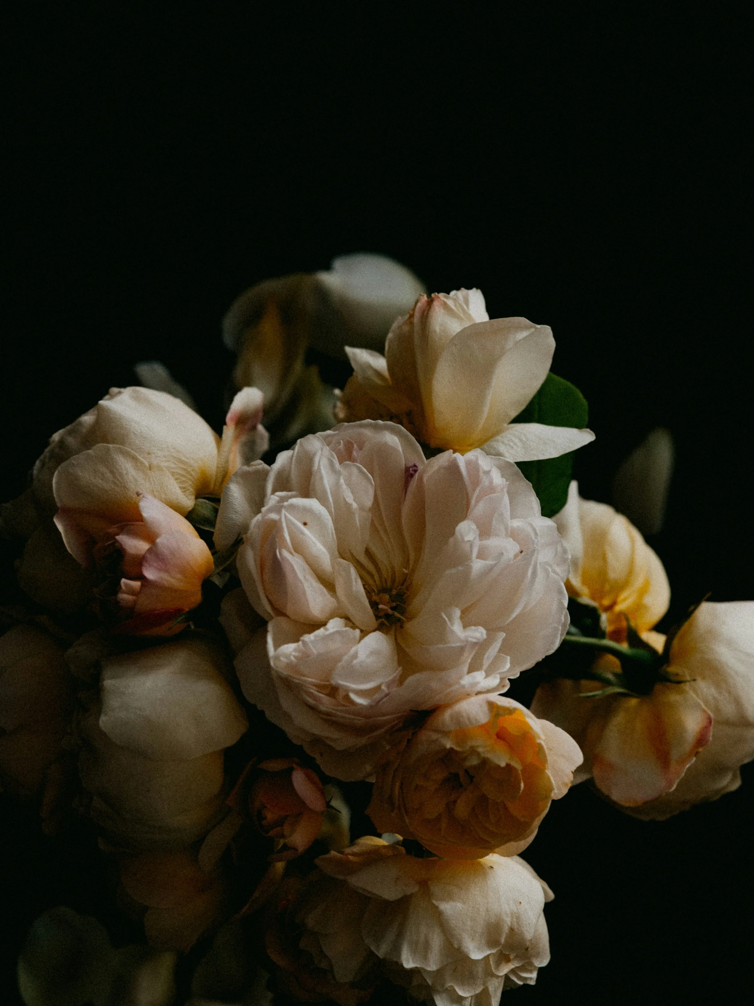 Close-up of a bouquet of white and pale yellow roses against a dark background.